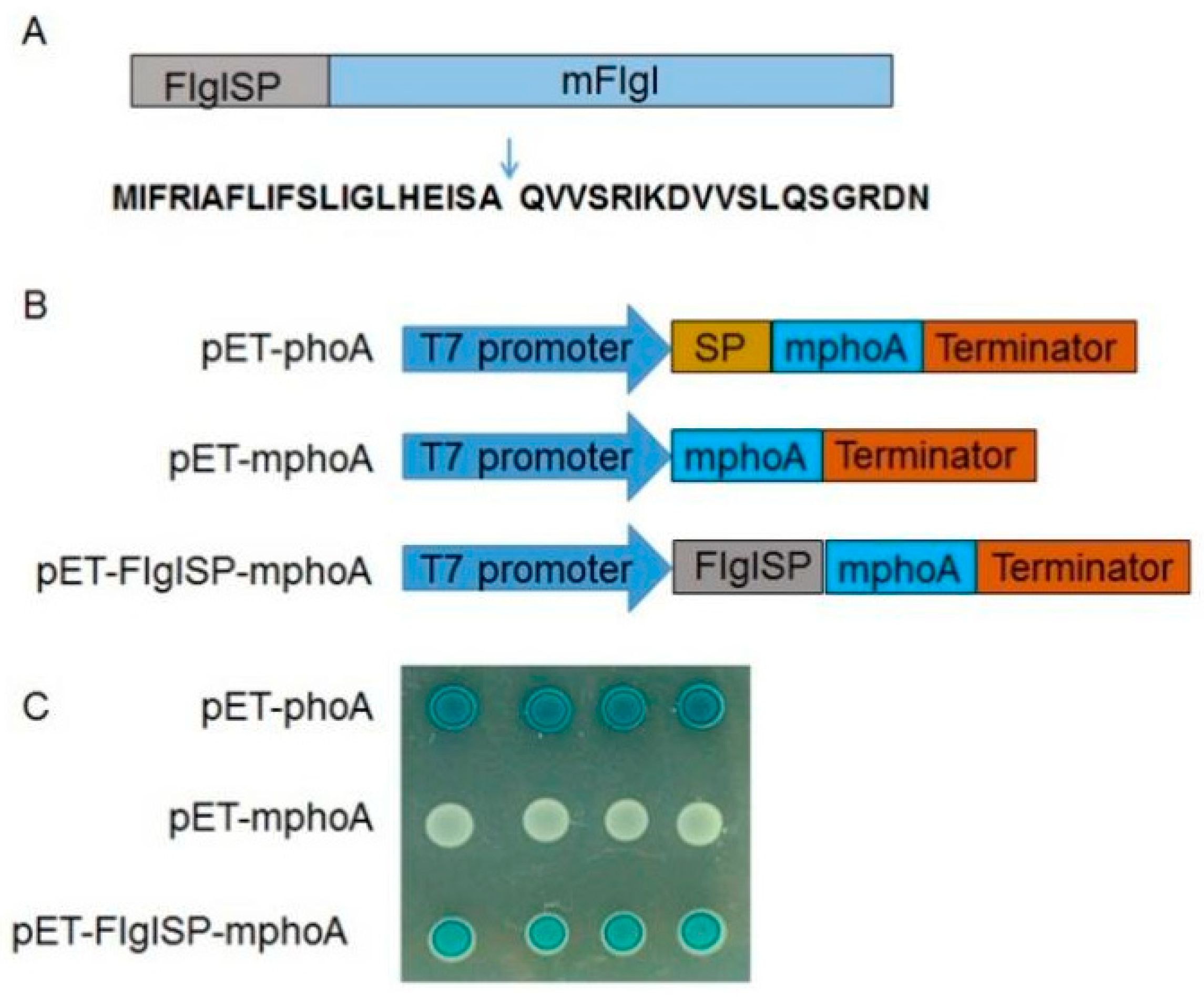 Plants 13 00318 g003