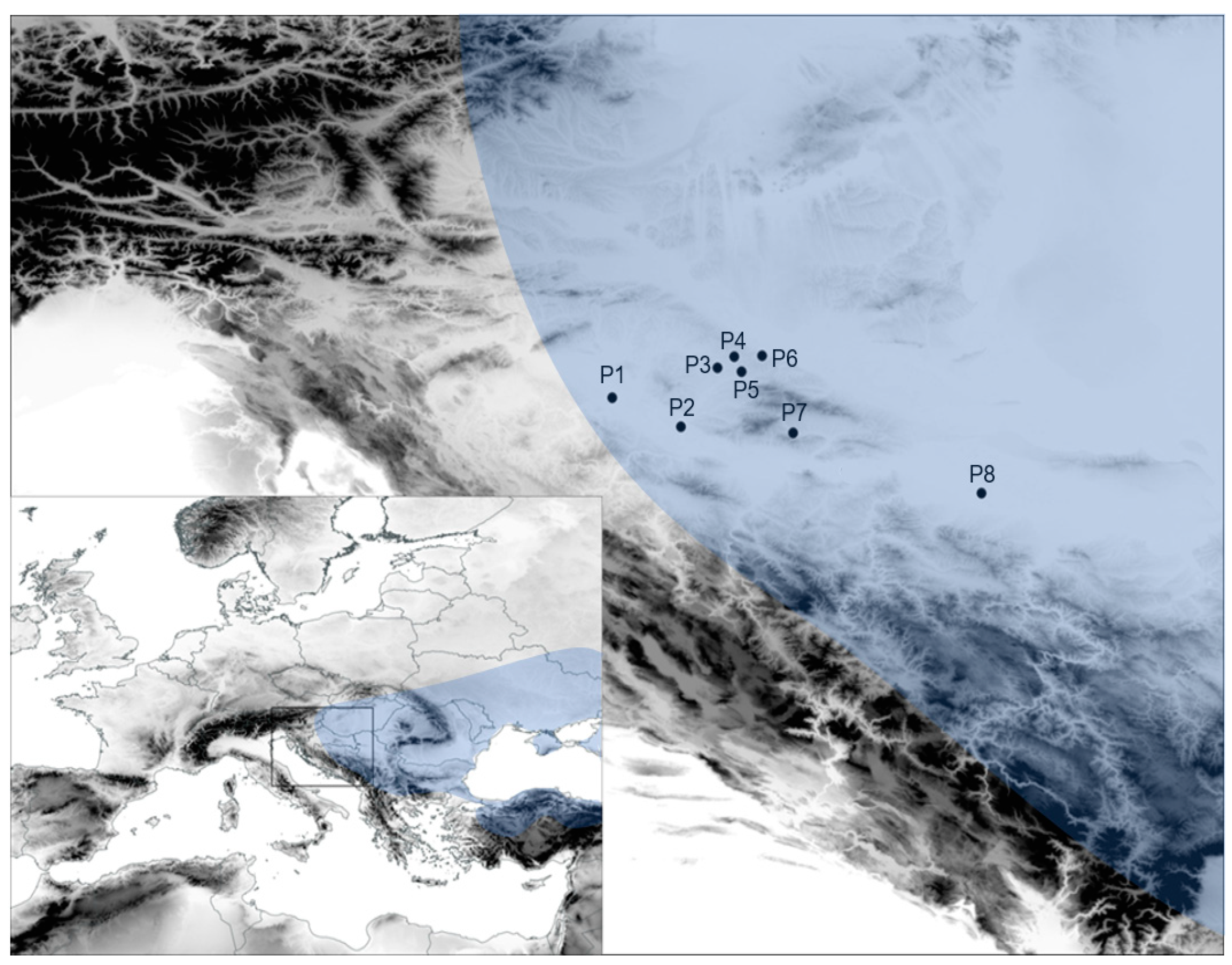 Plants 13 00320 g001