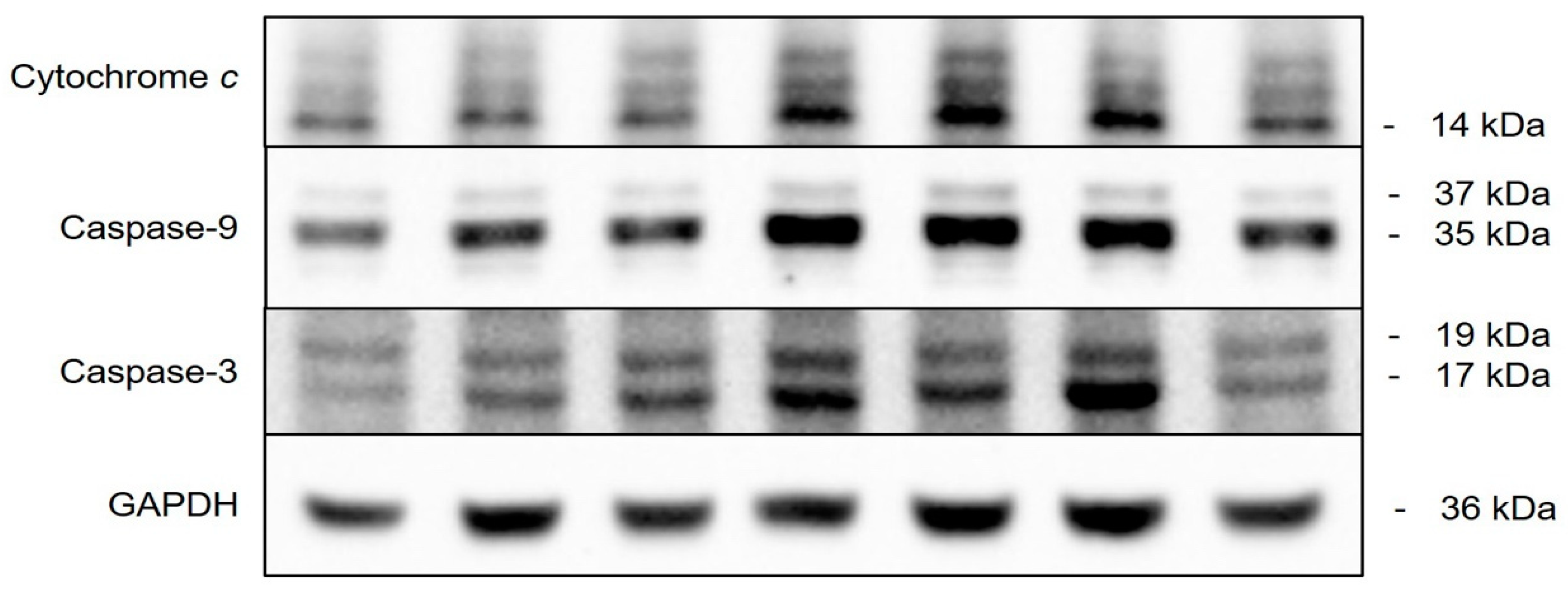 Plants 13 00321 g009