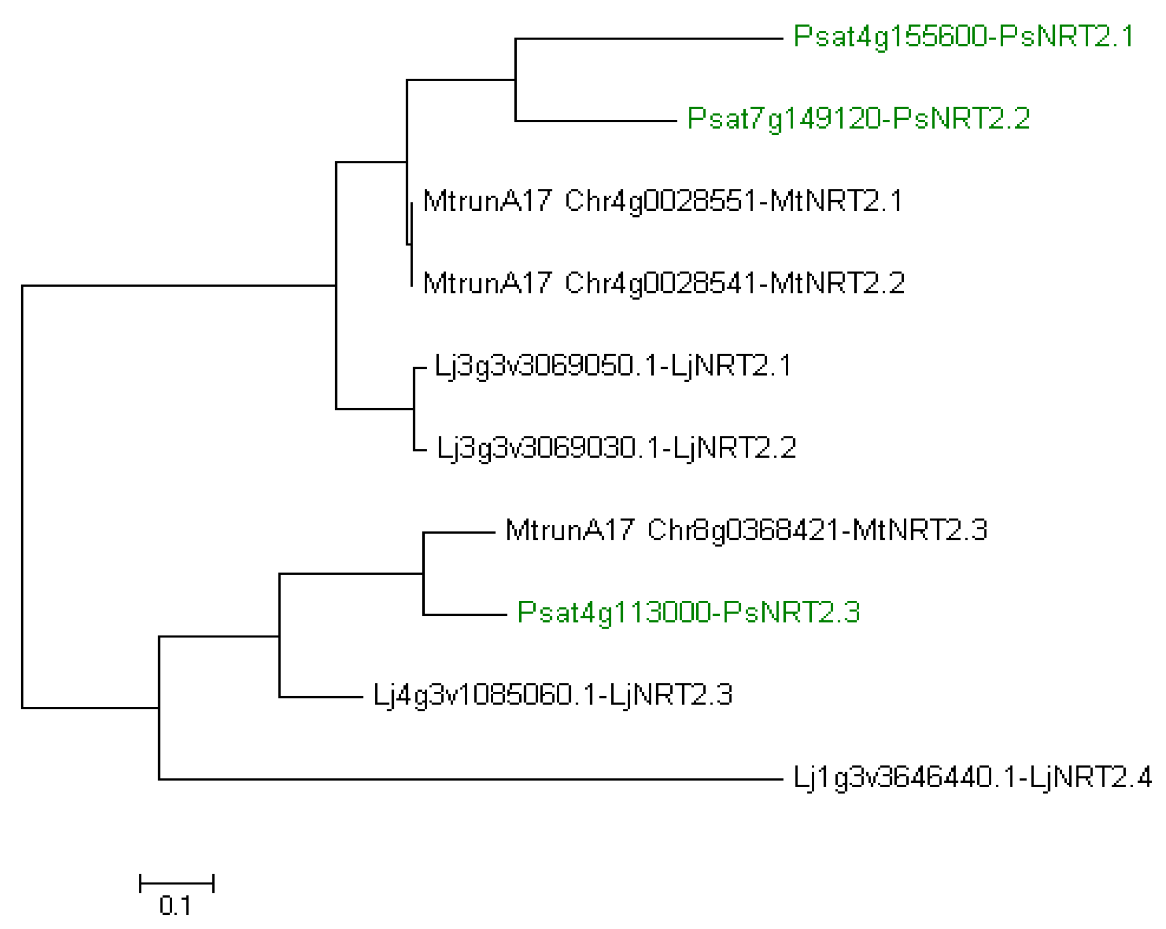 Plants 13 00322 g003