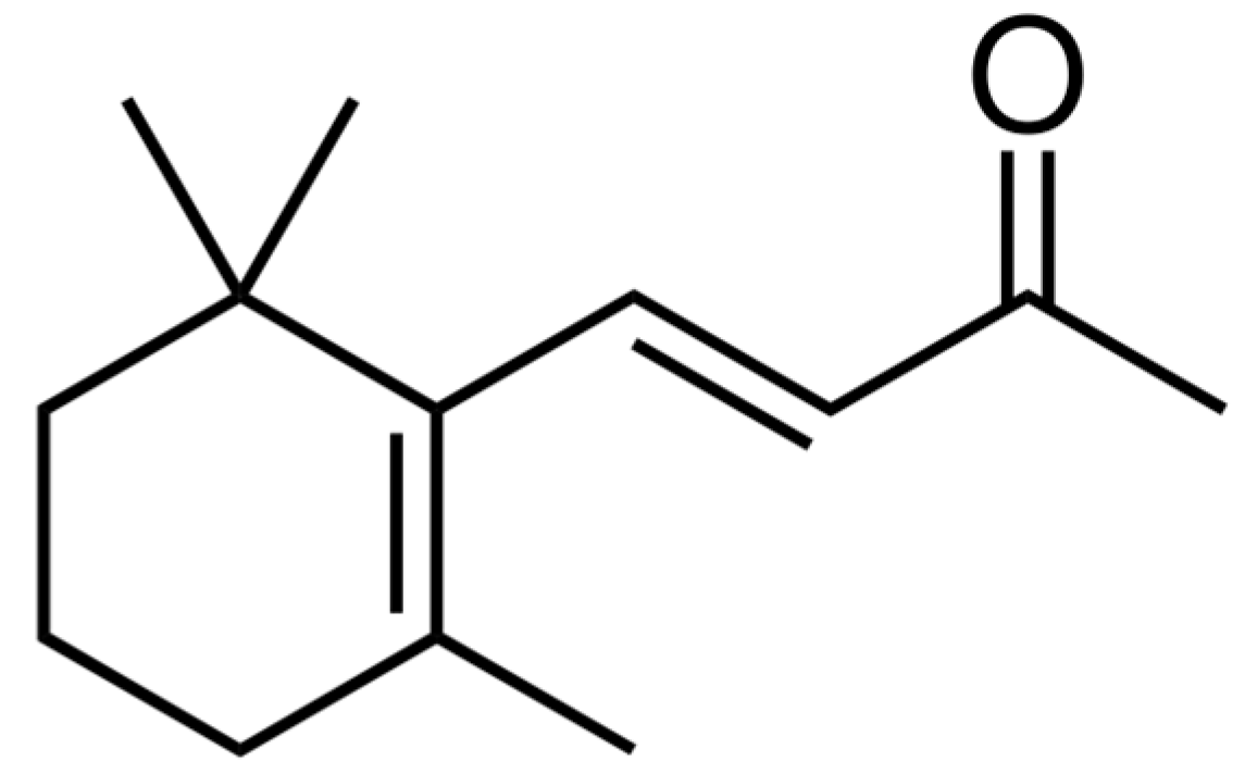 Plants 13 00326 g002