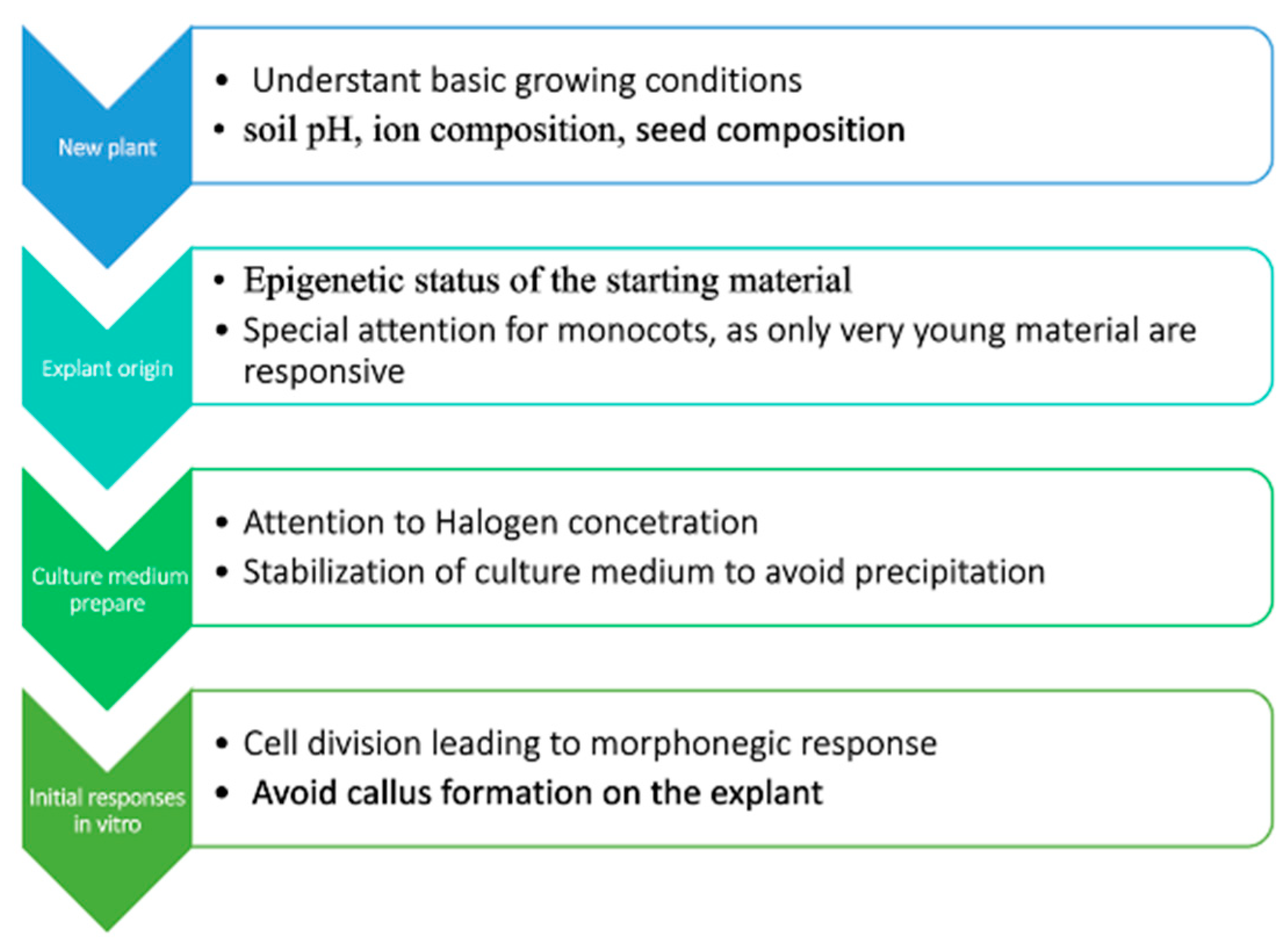 Plants 13 00327 g002 Plants 13 00327 g002