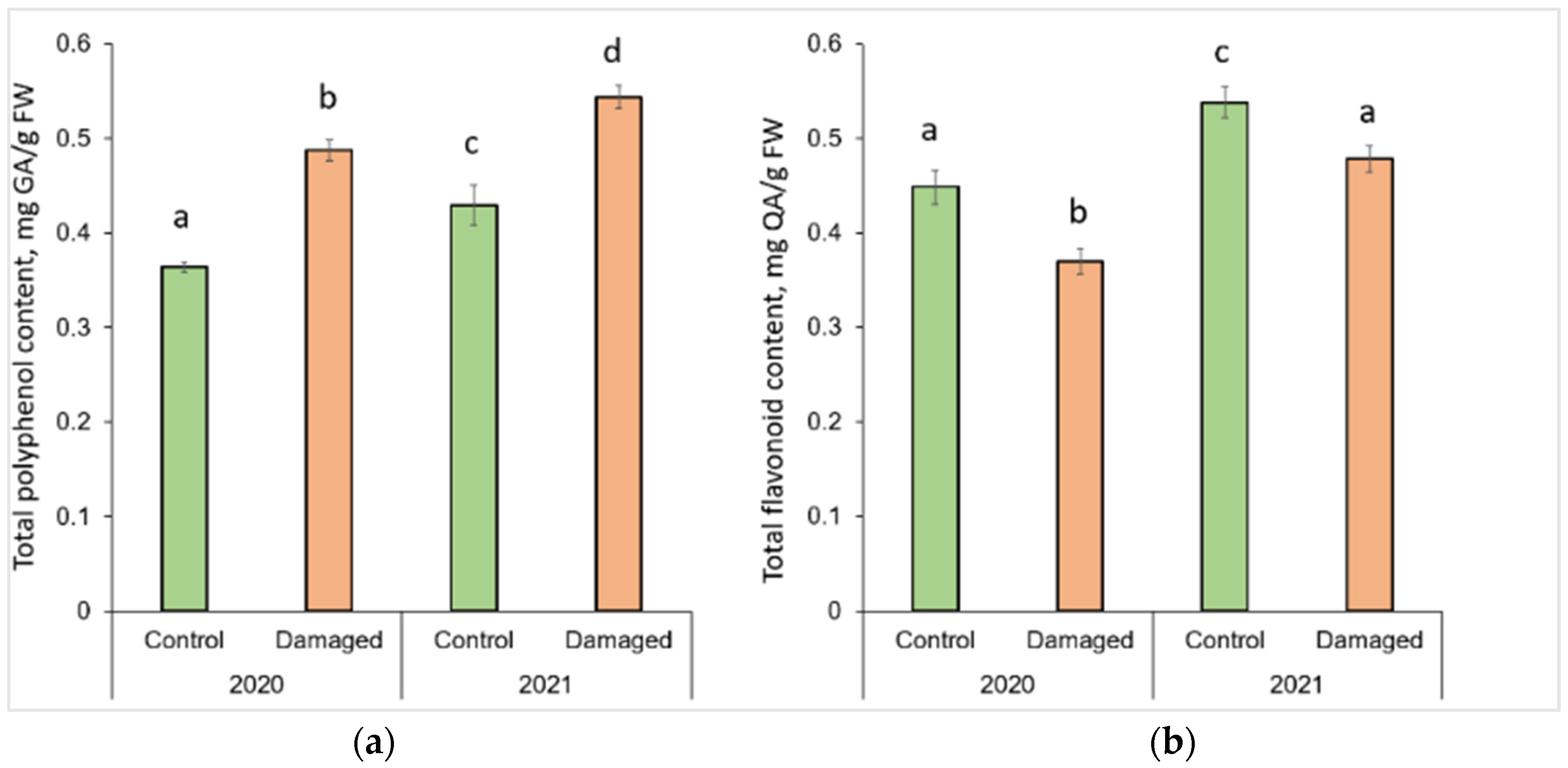 Plants 13 00328 g001