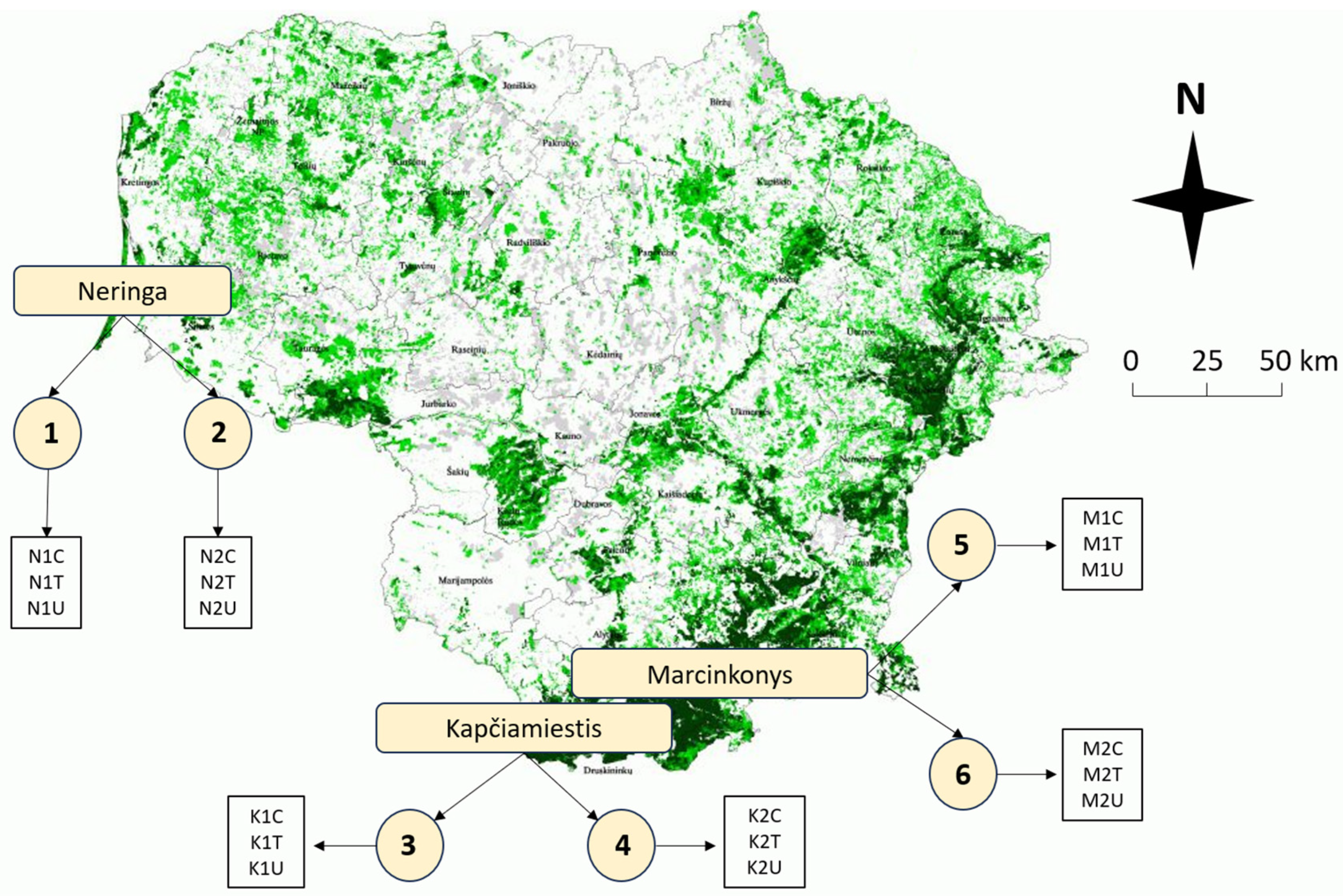 Plants 13 00328 g009