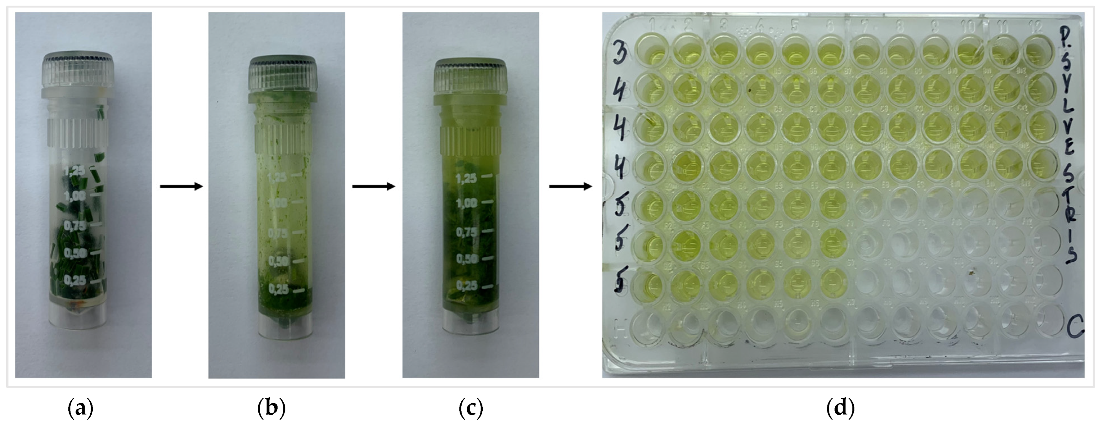 Plants 13 00328 g010
