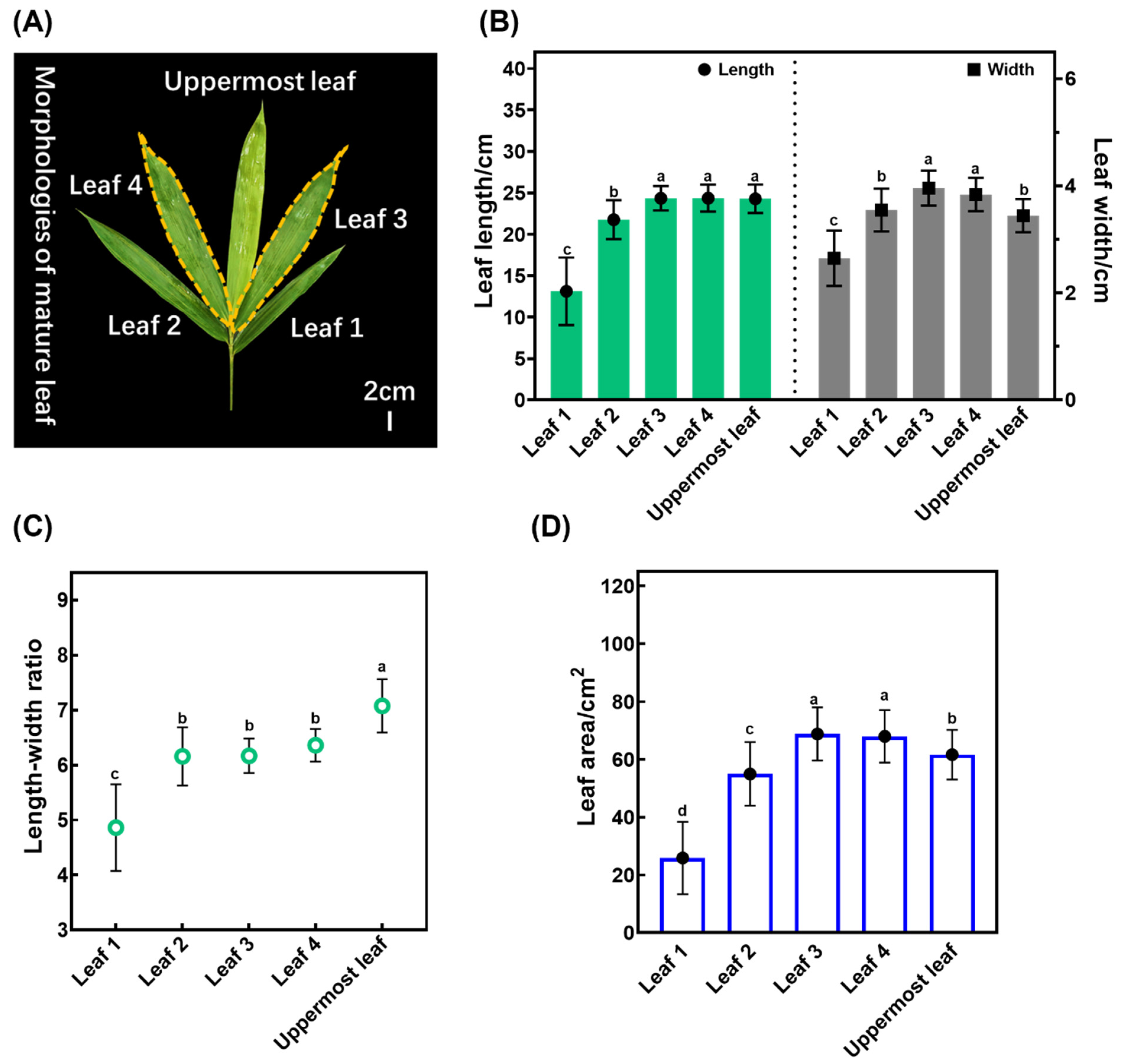 Plants 13 00332 g002