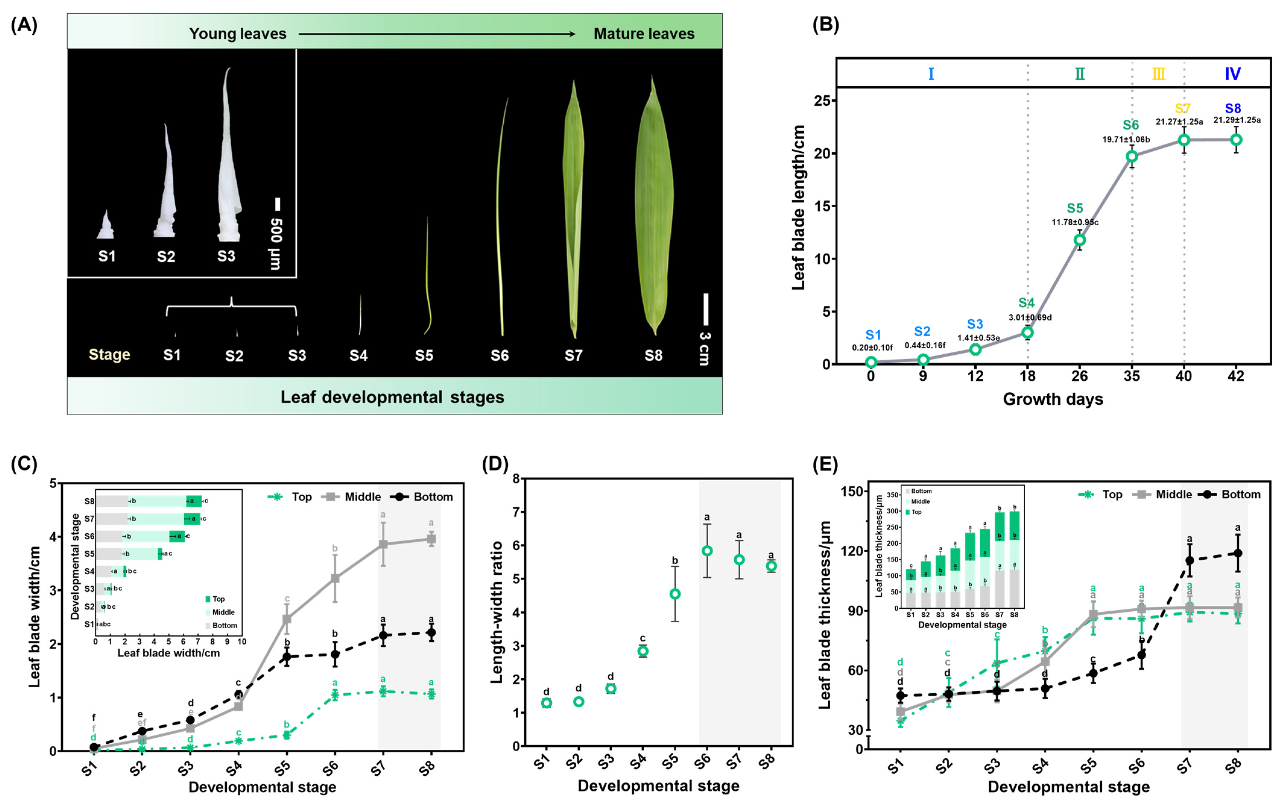 Plants 13 00332 g003