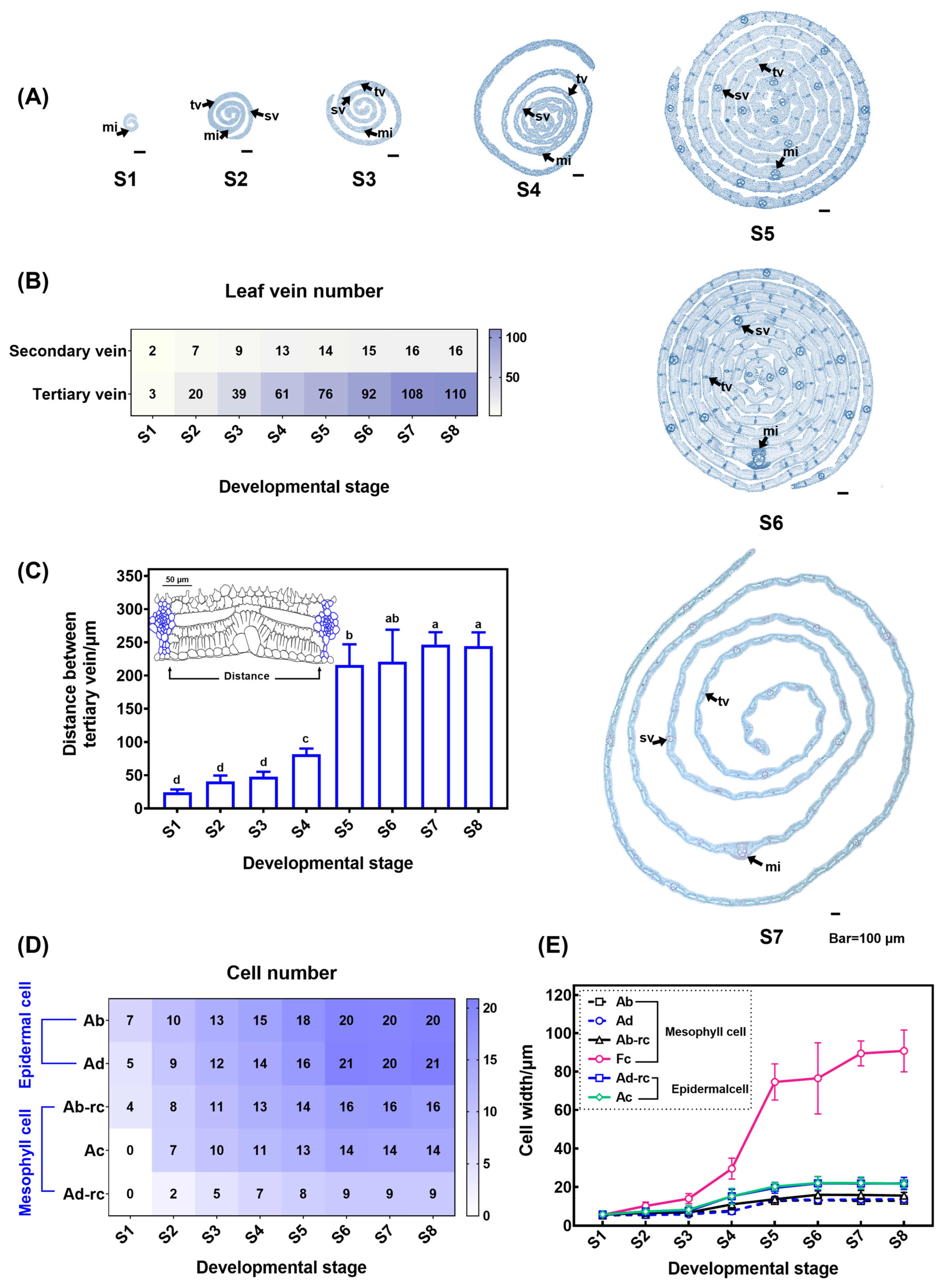 Plants 13 00332 g006