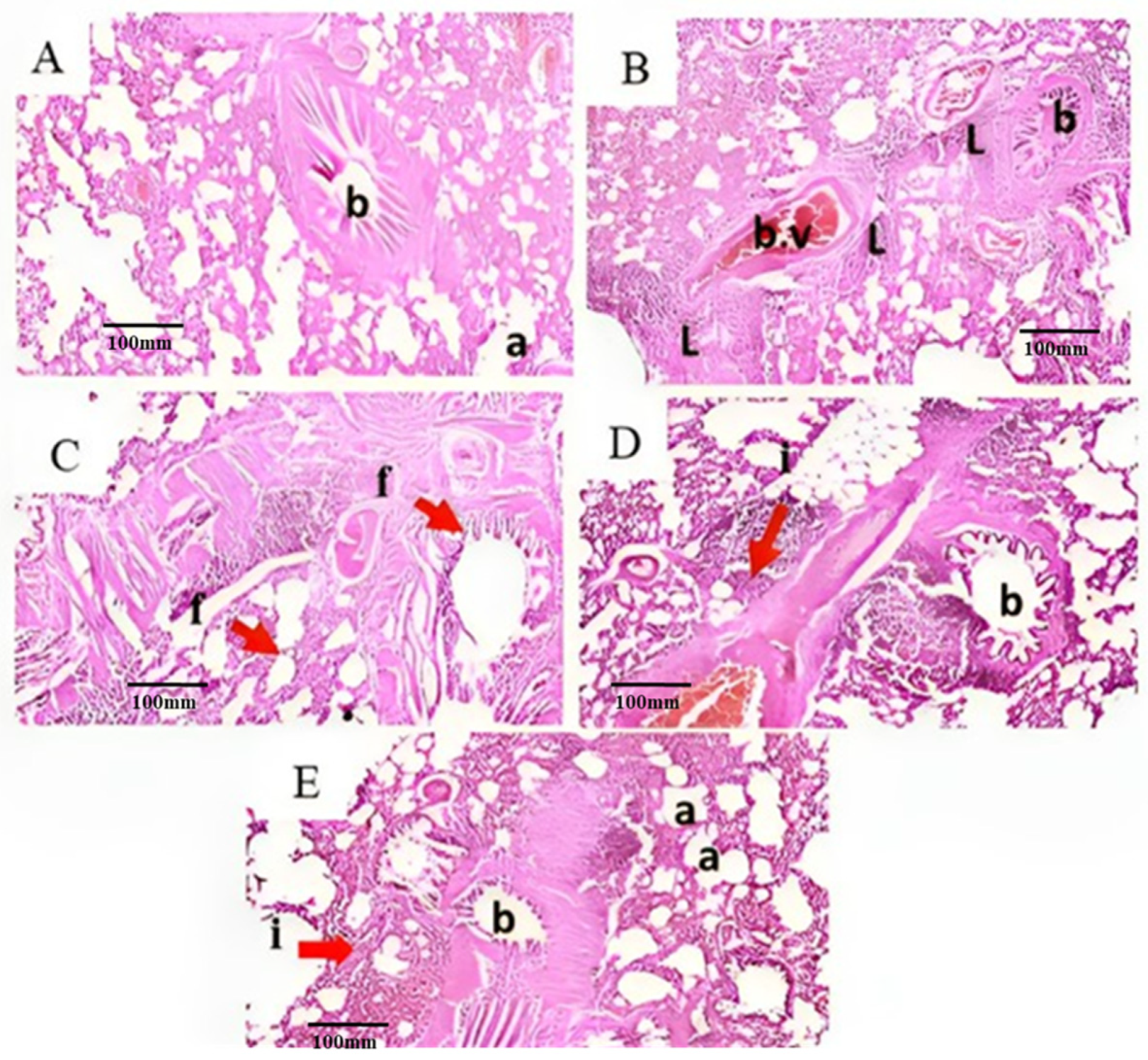 Plants 13 00338 g004 Plants 13 00338 g004