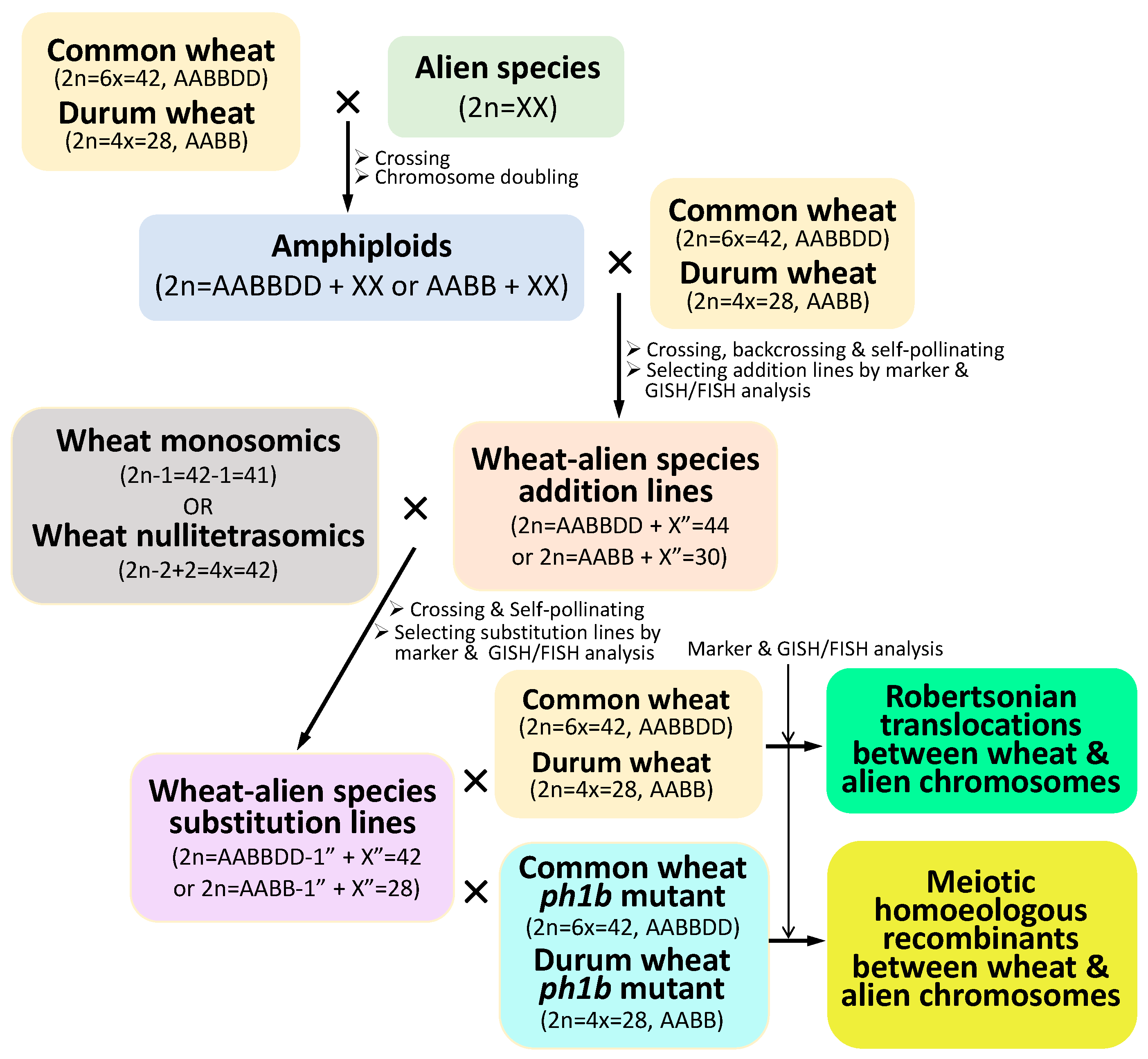 Plants 13 00339 g002