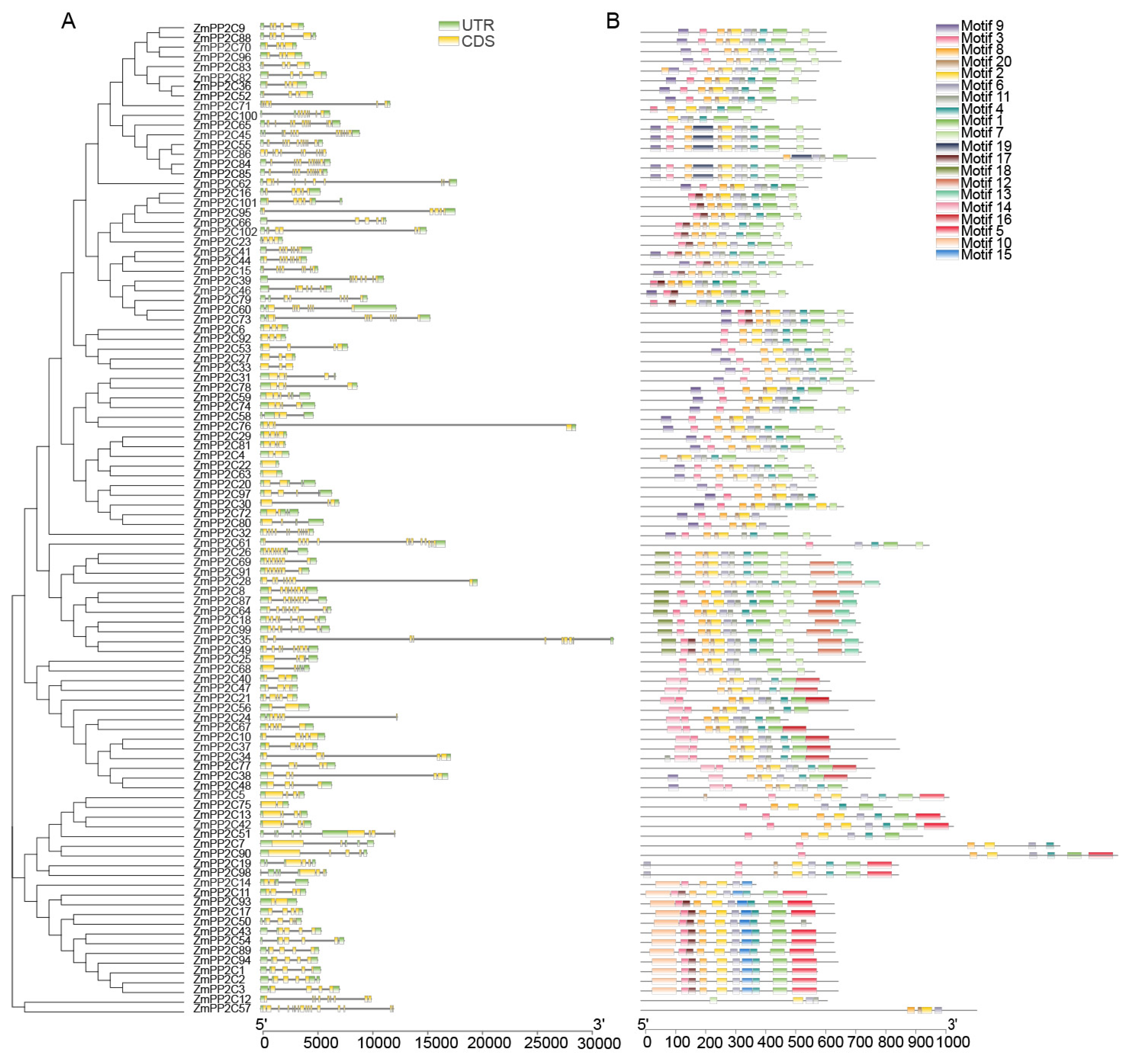 Plants 13 00340 g002