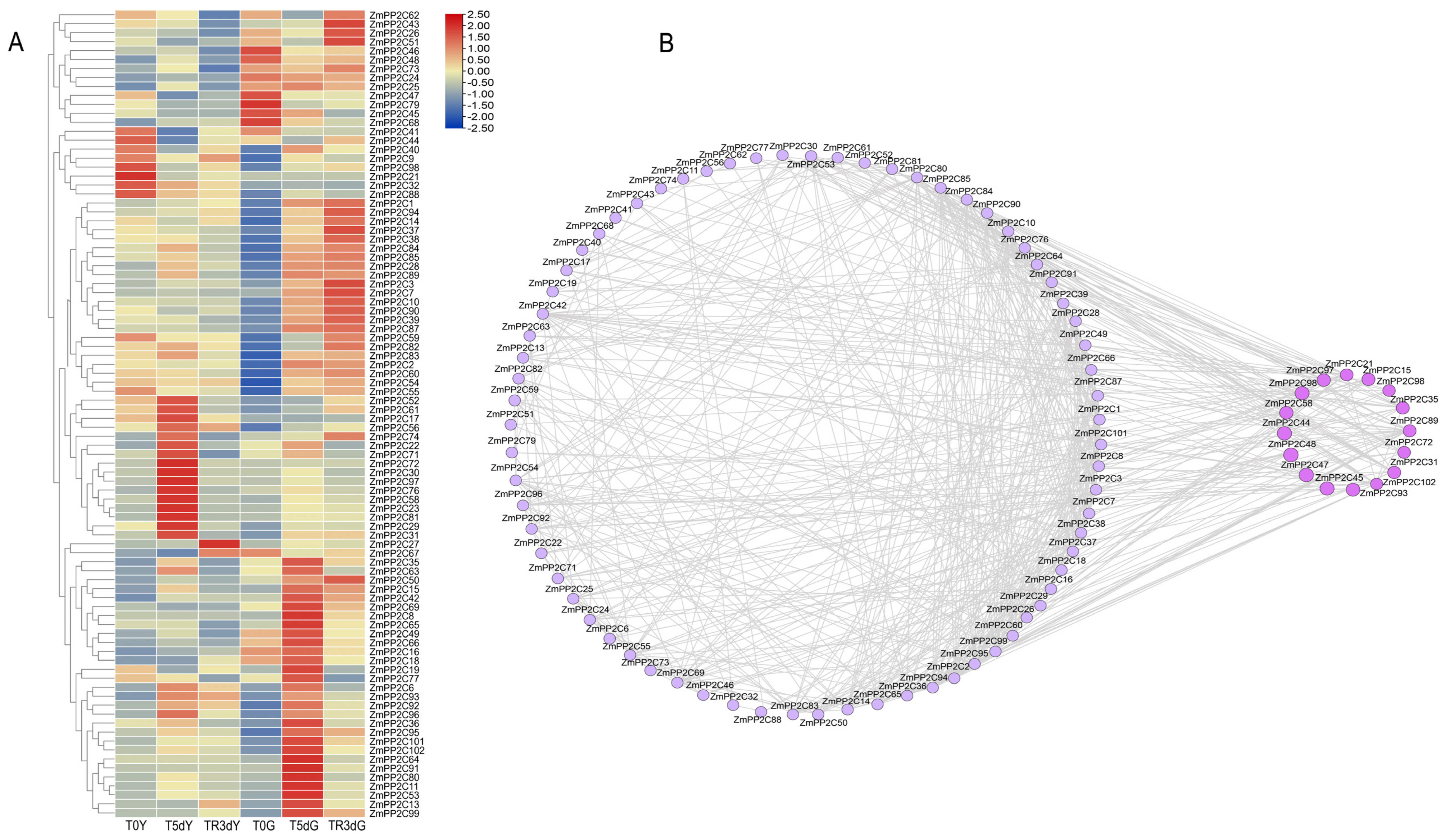 Plants 13 00340 g004