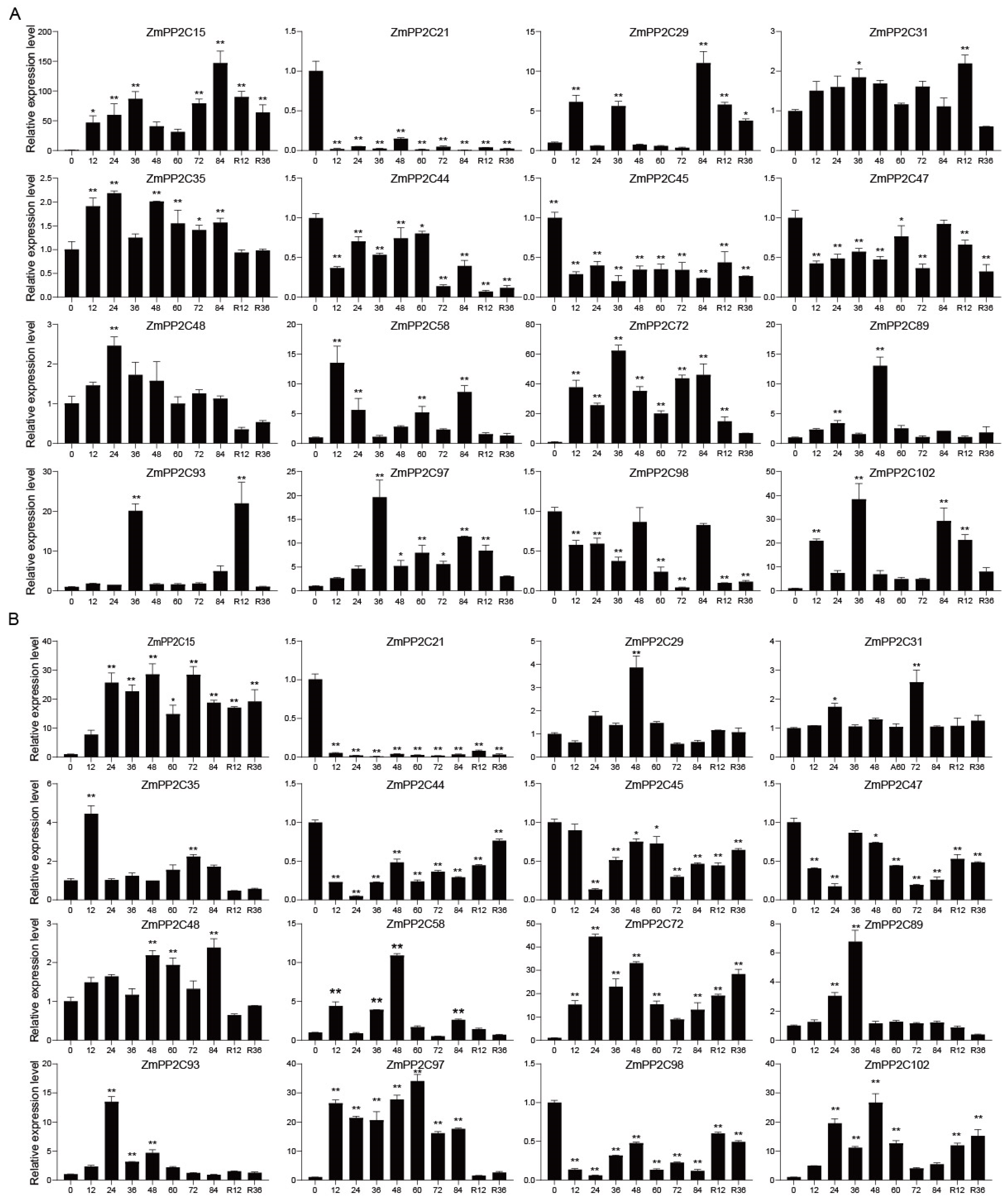 Plants 13 00340 g005