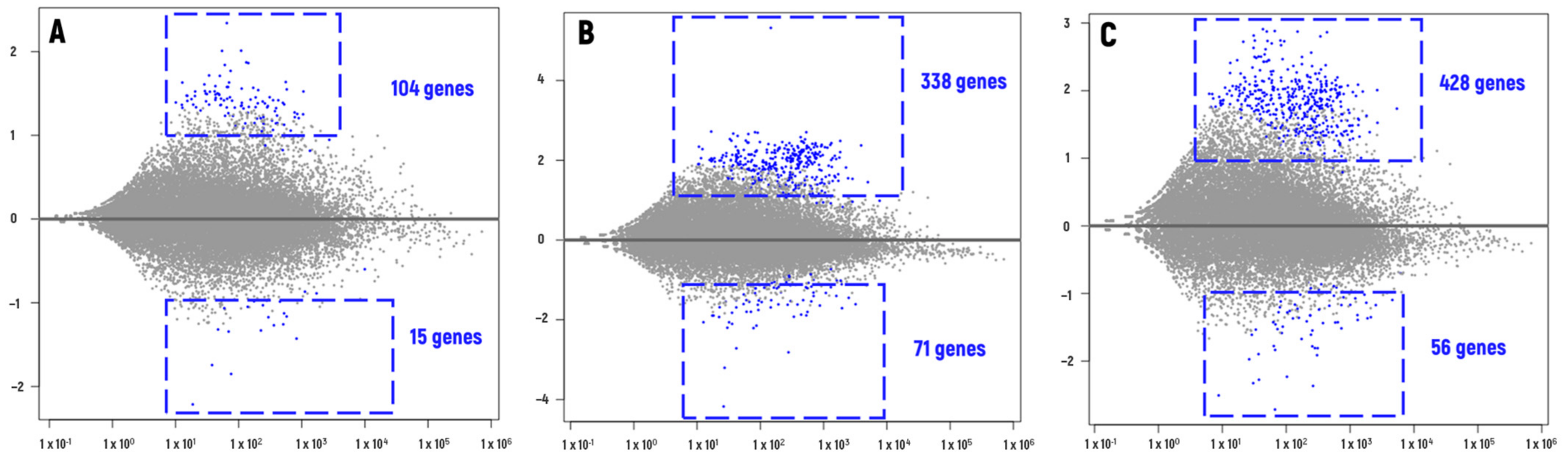 Plants 13 00342 g001