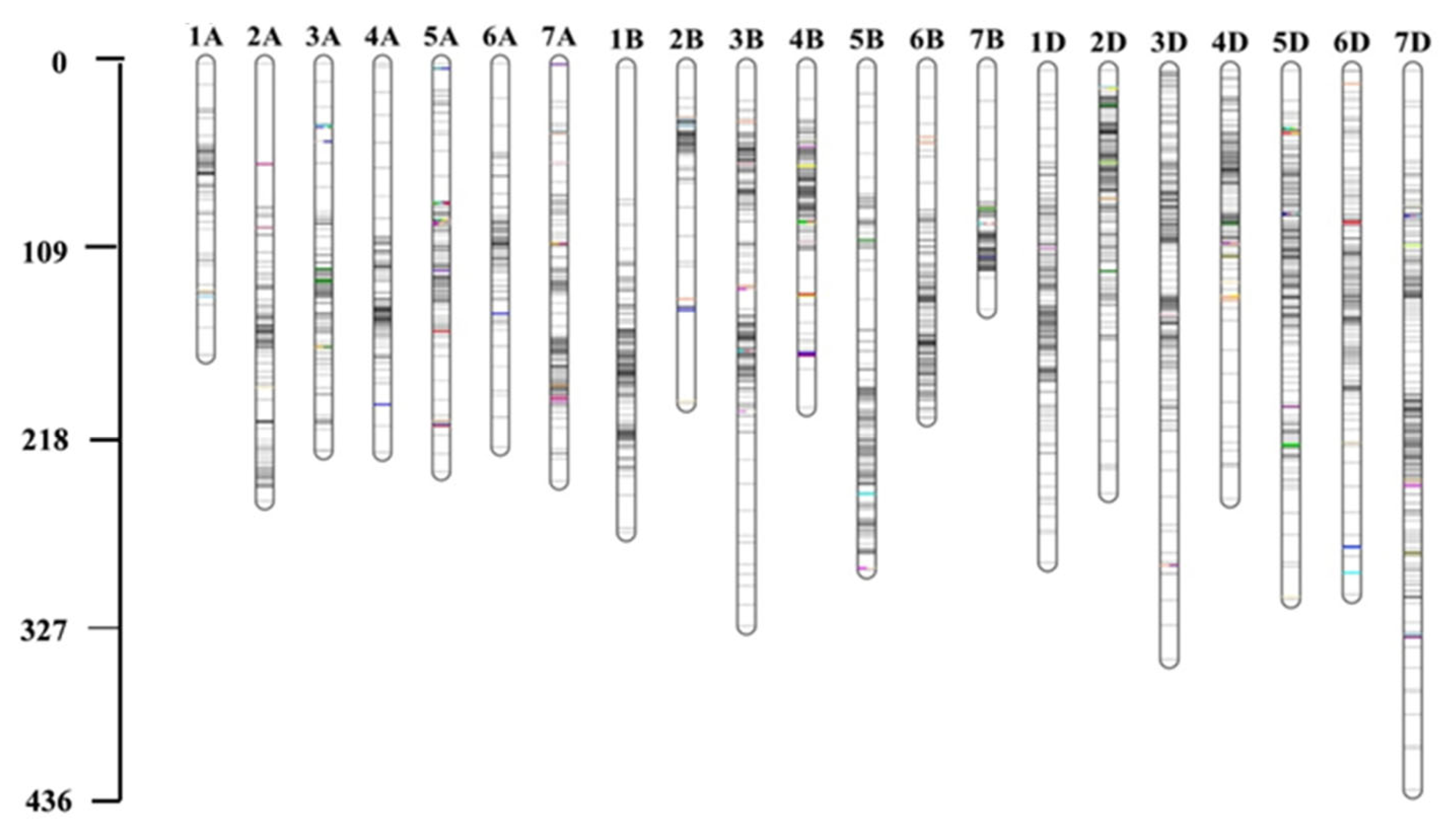 Plants 13 00347 g003