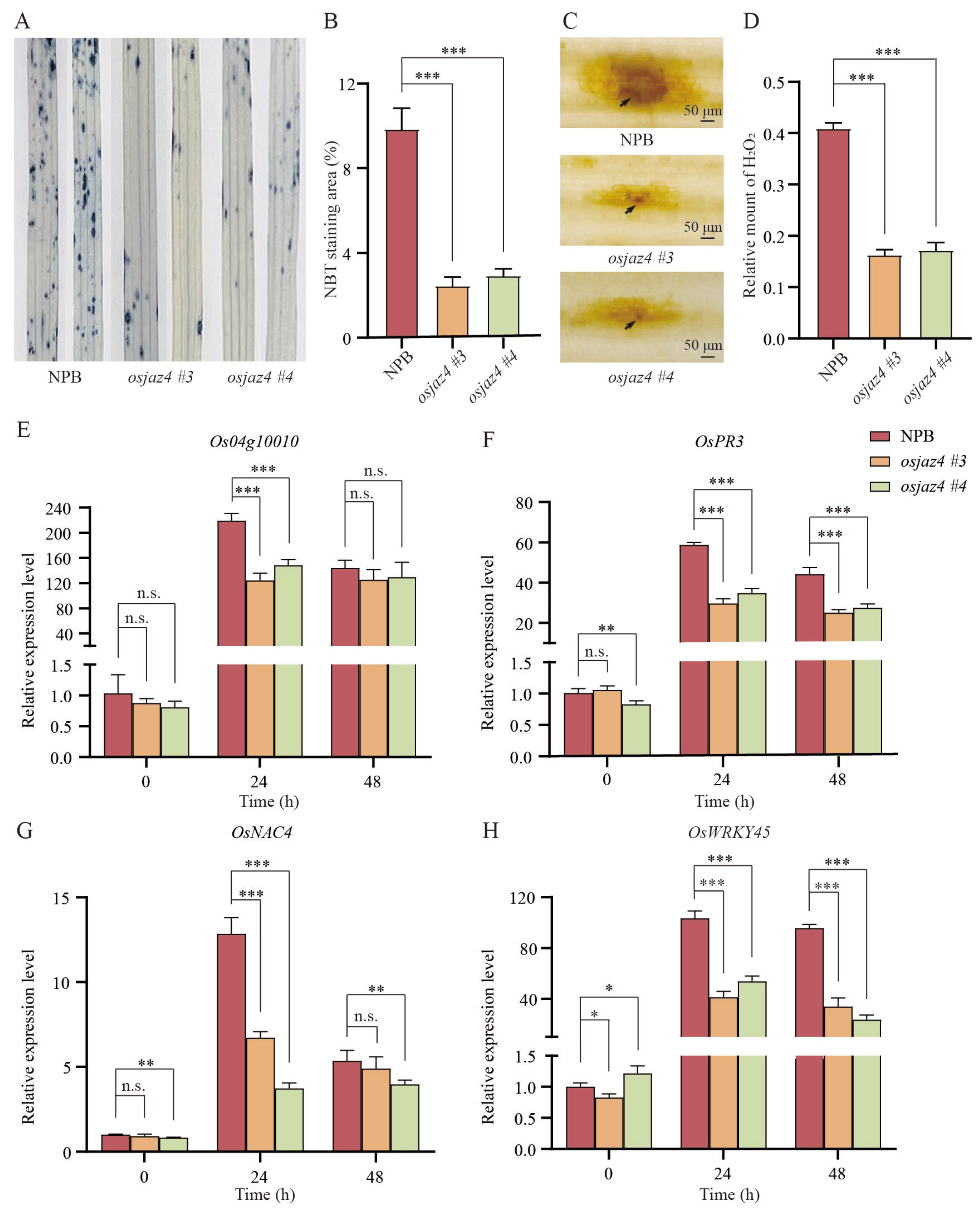 Plants 13 00348 g003