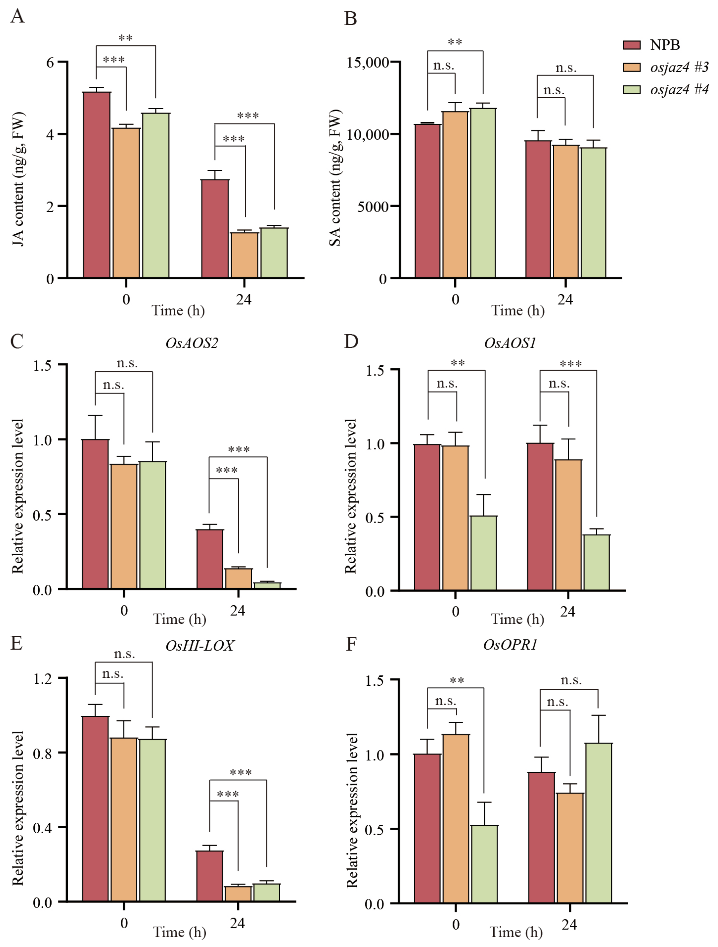 Plants 13 00348 g004
