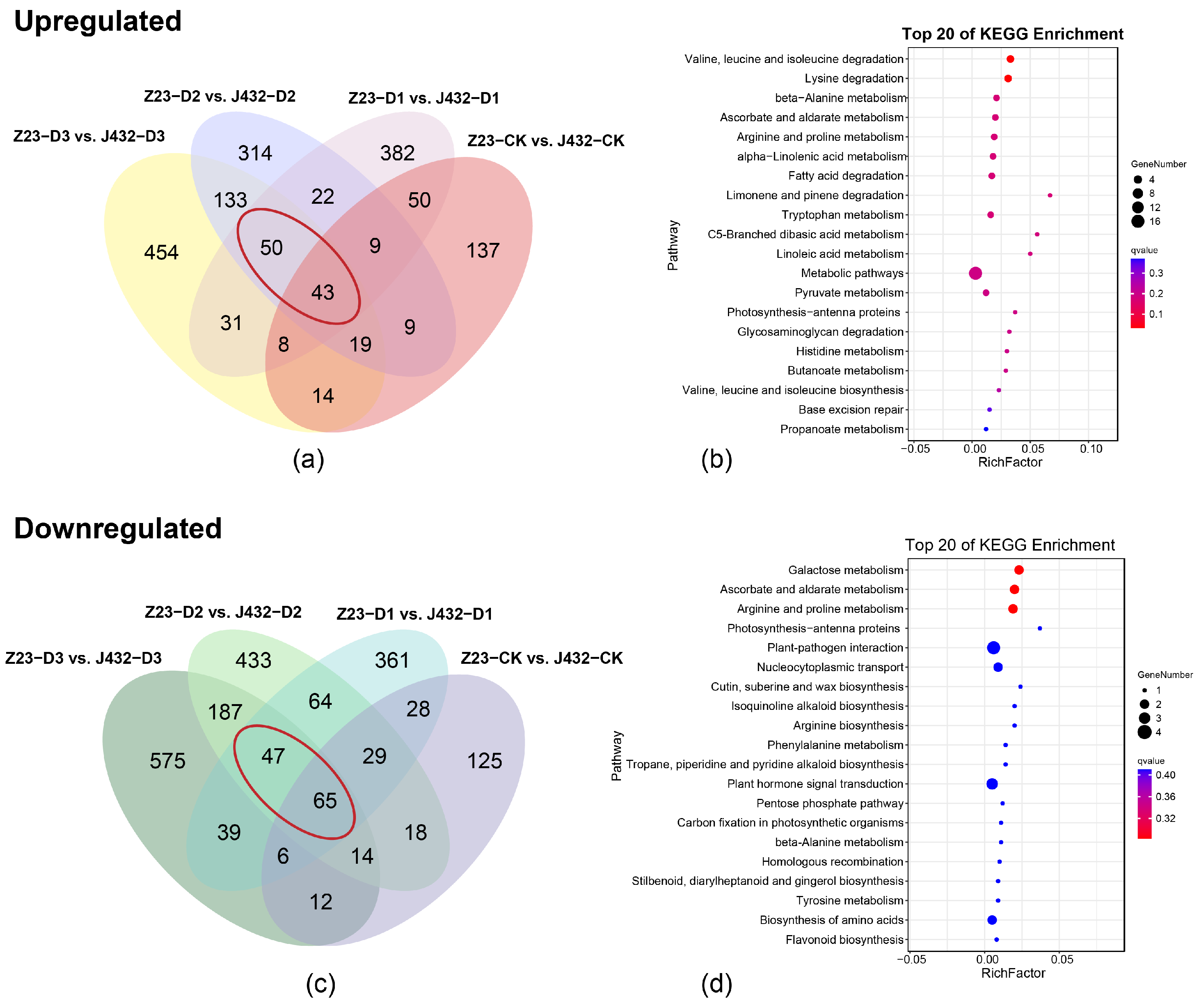 Plants 13 00351 g002