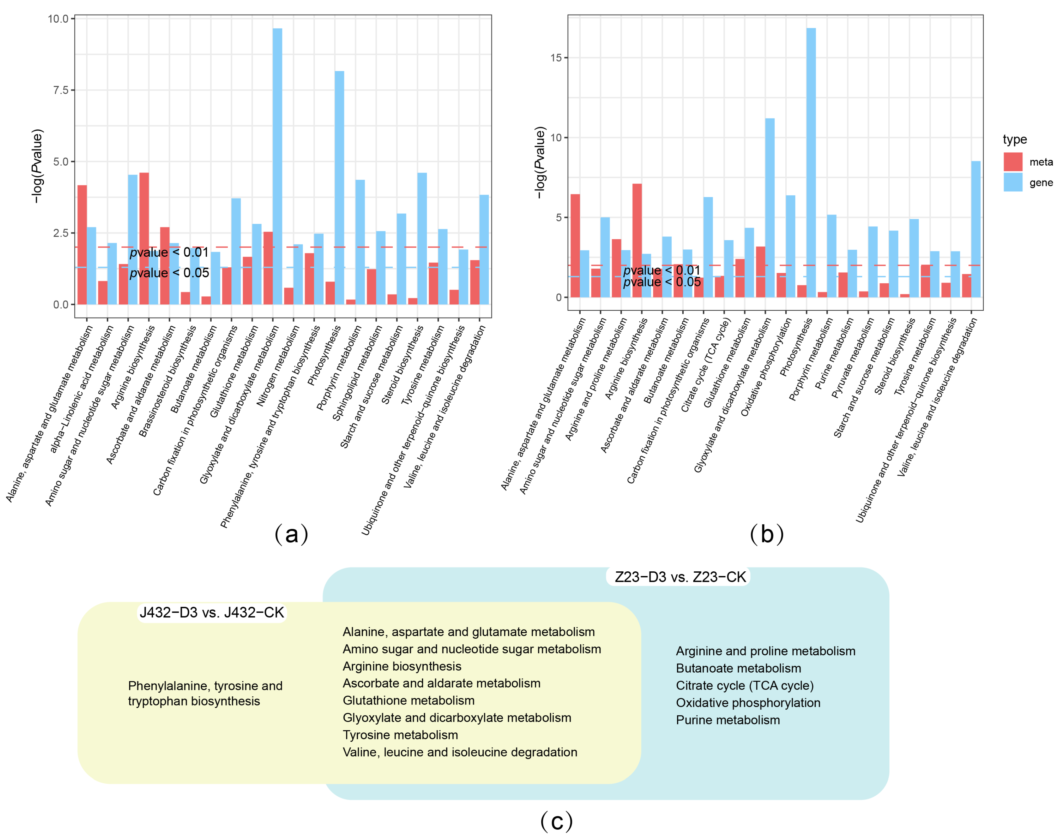 Plants 13 00351 g006