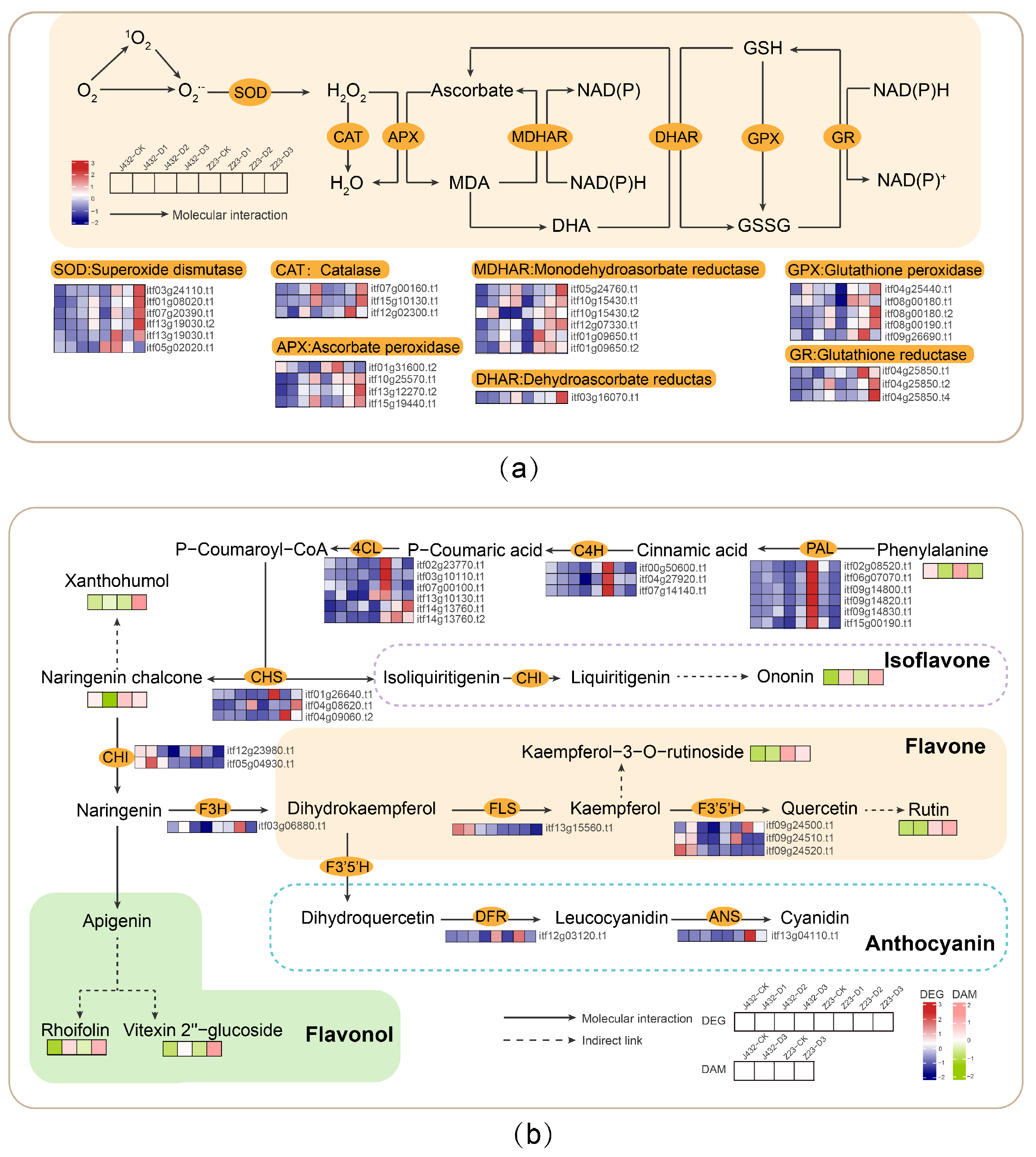 Plants 13 00351 g008