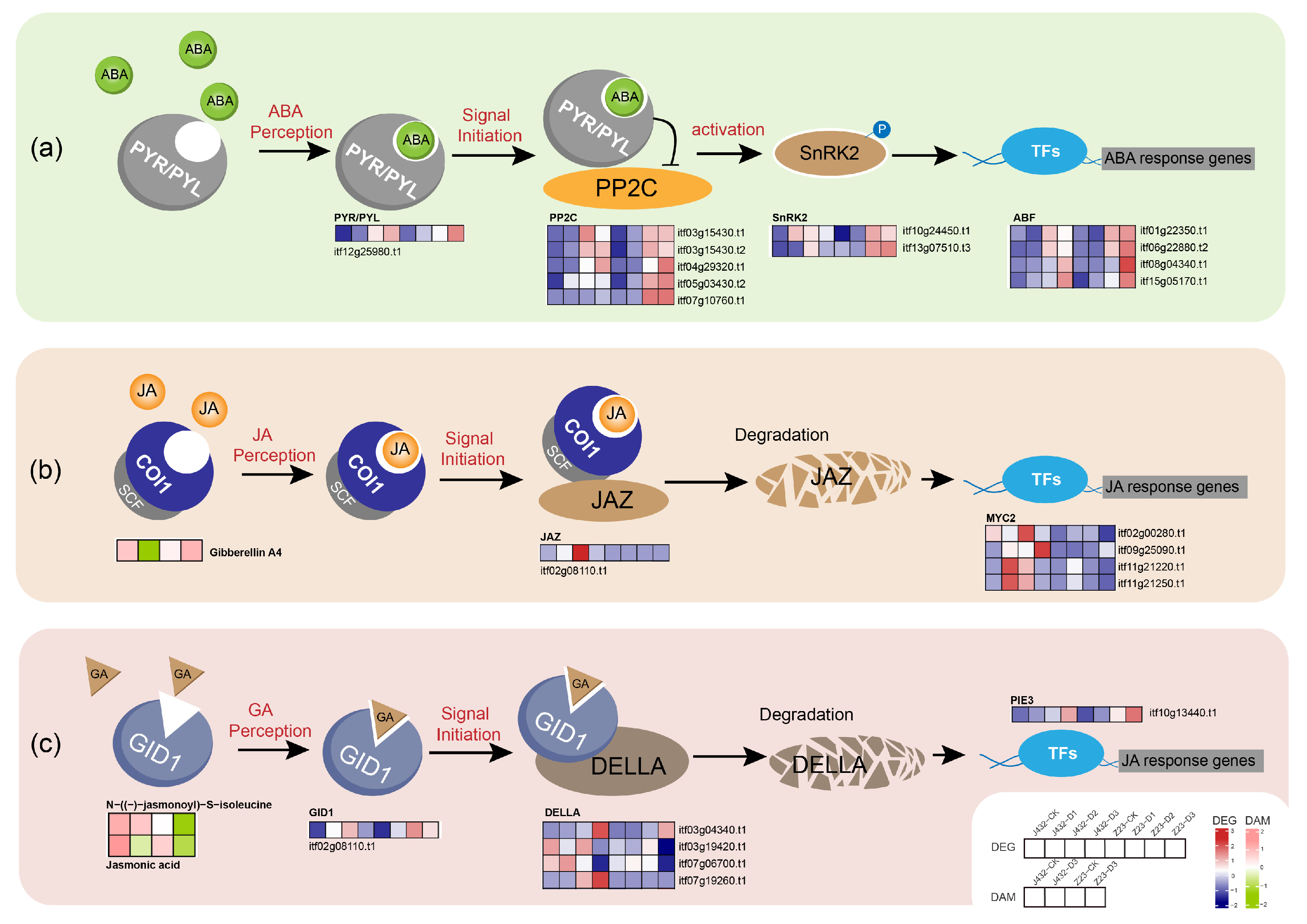 Plants 13 00351 g009