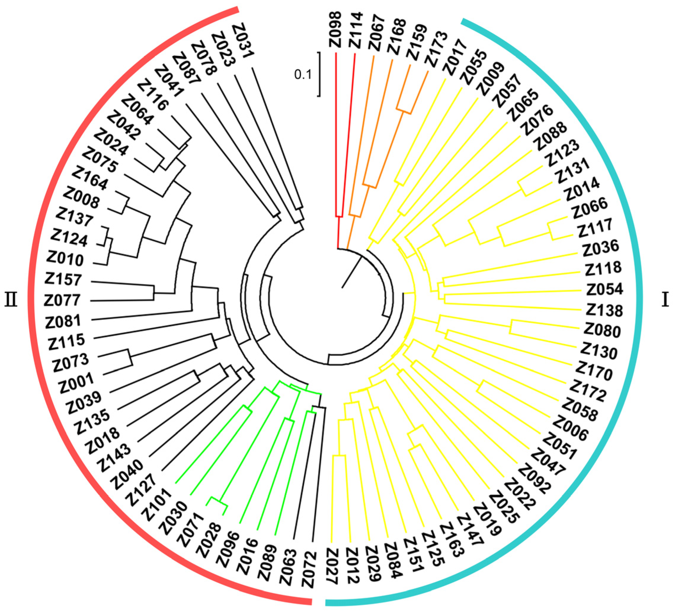 Plants 13 00353 g005