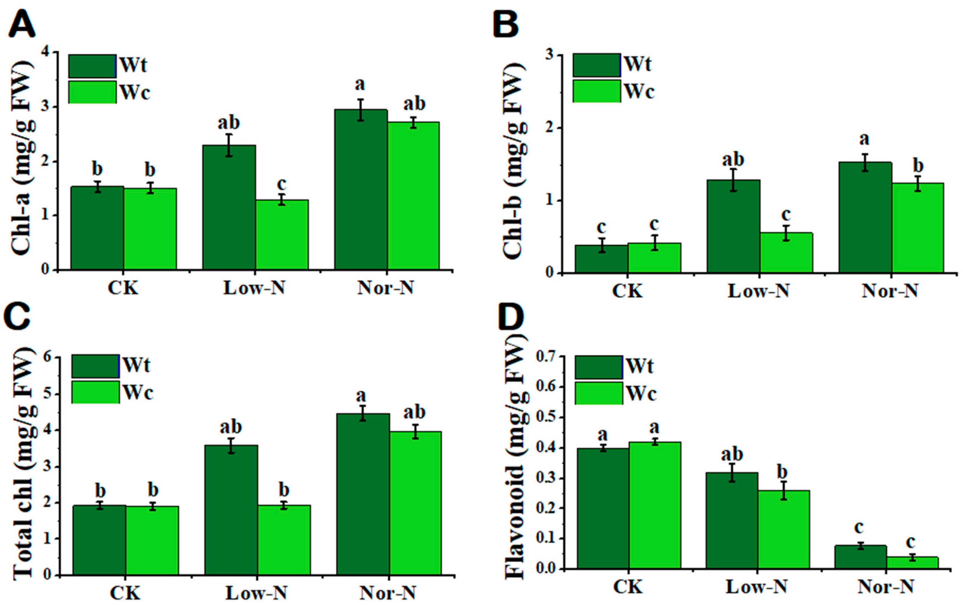 Plants 13 00355 g005