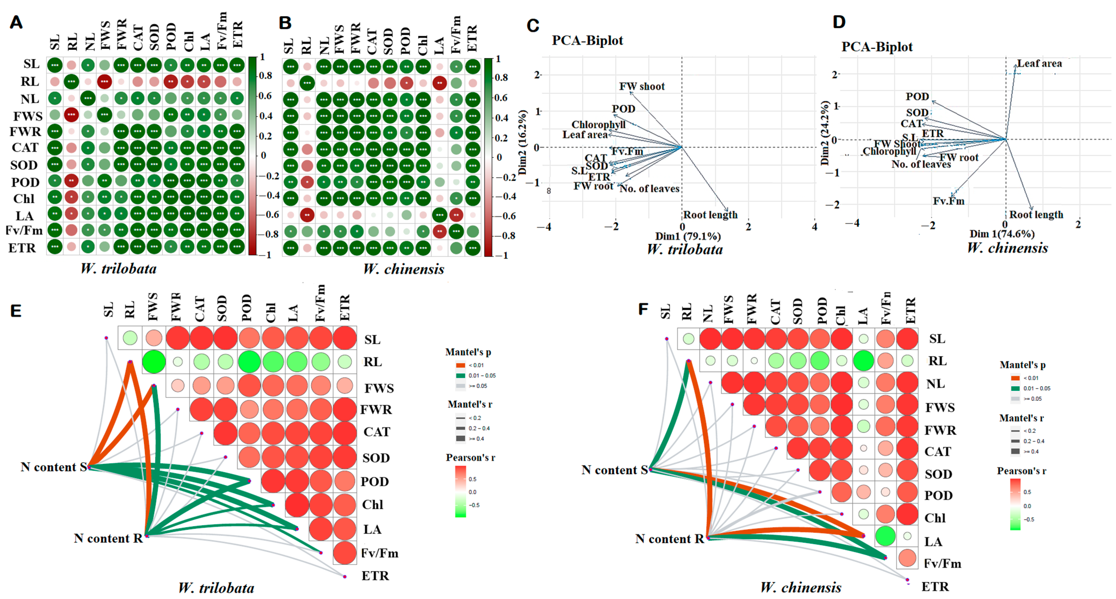 Plants 13 00355 g007