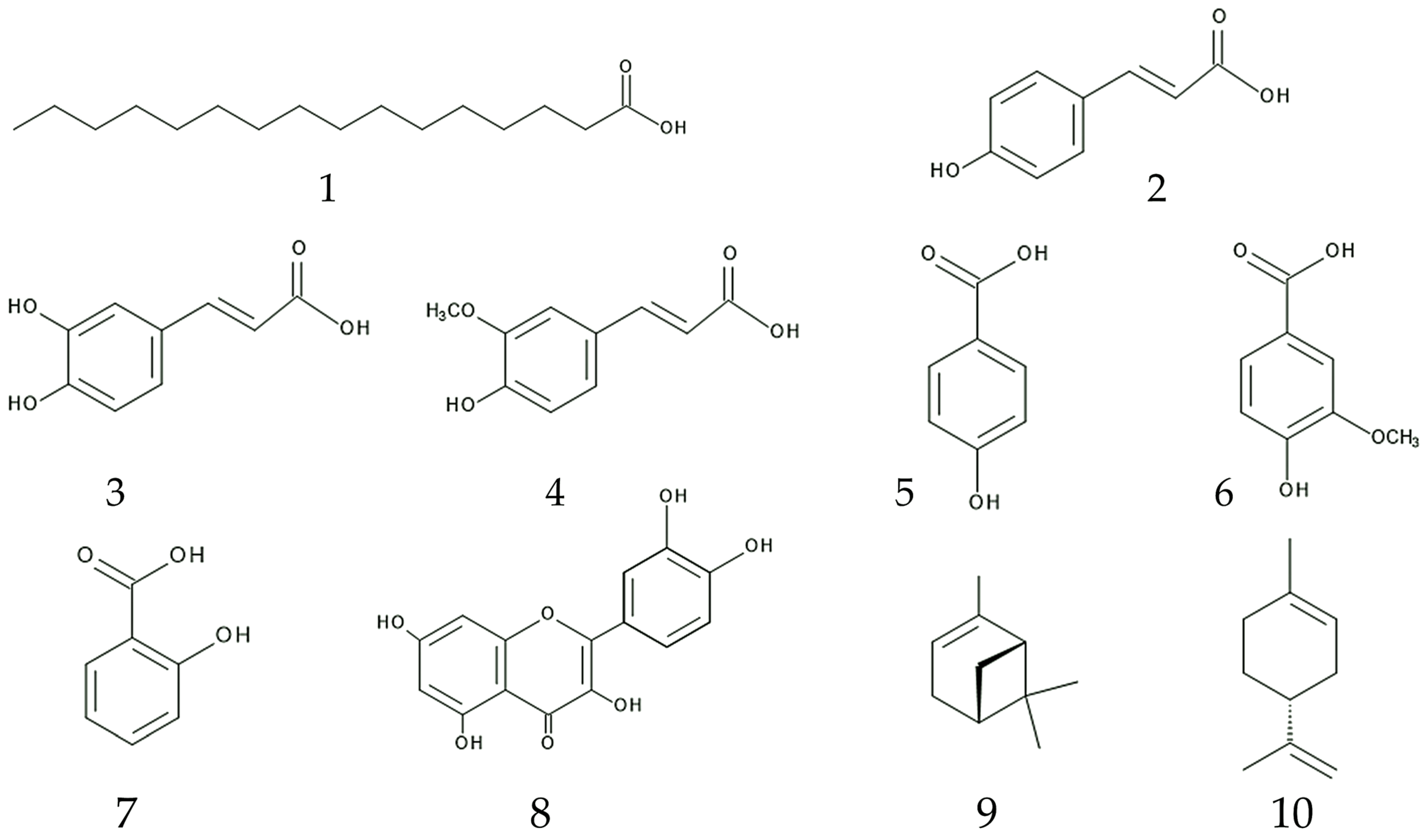 Plants 13 00356 g004