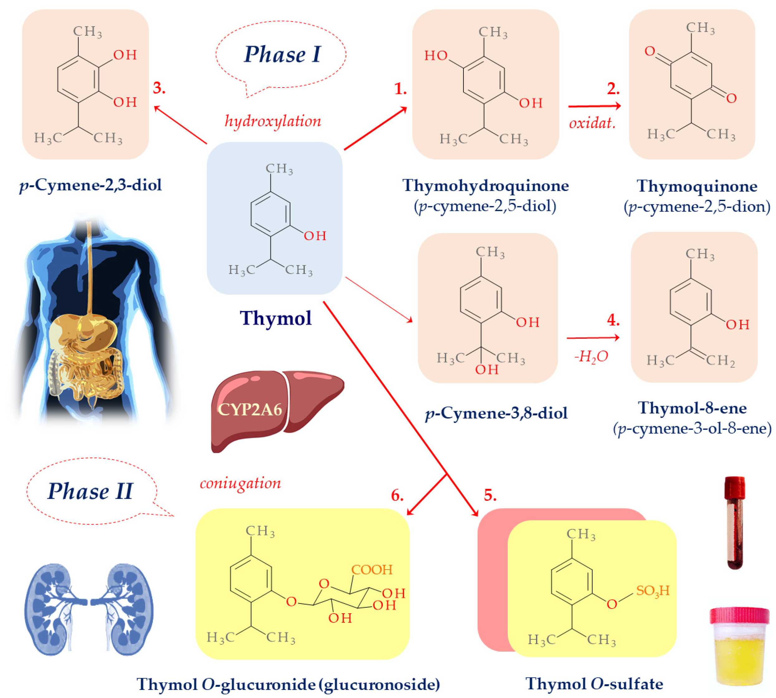 Plants 13 00362 g003