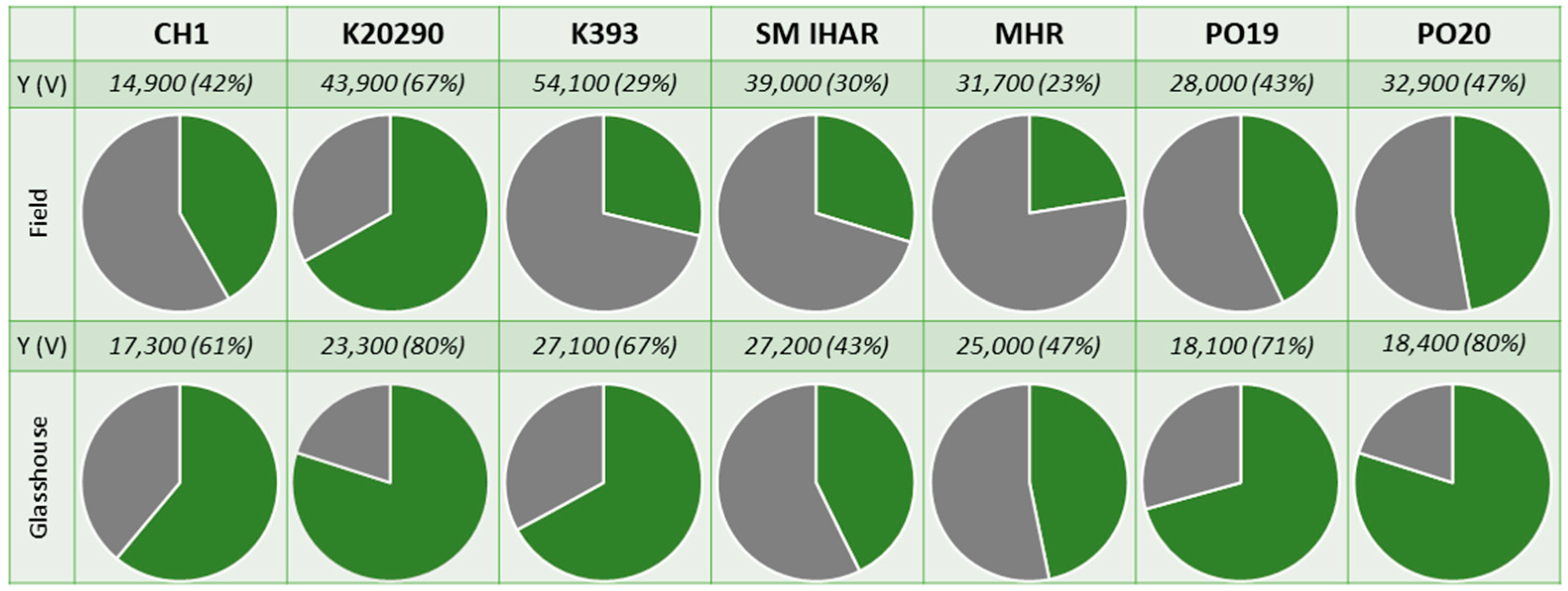 Plants 13 00363 g001