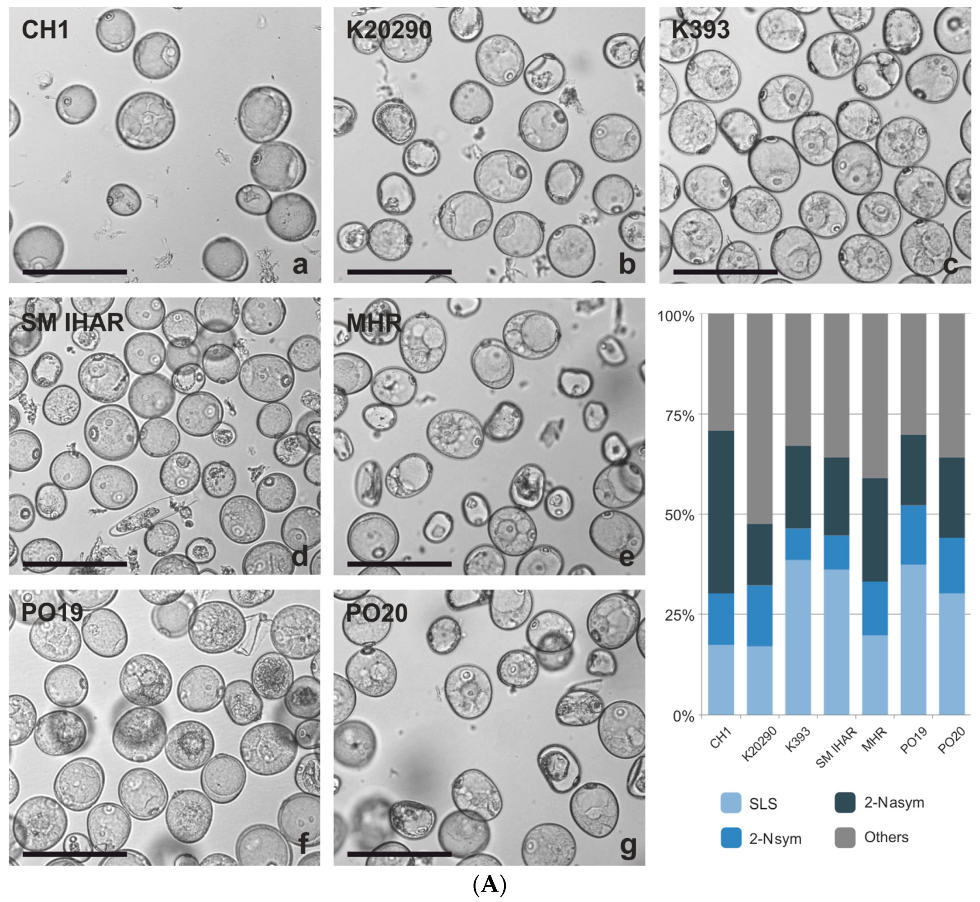 Plants 13 00363 g002a