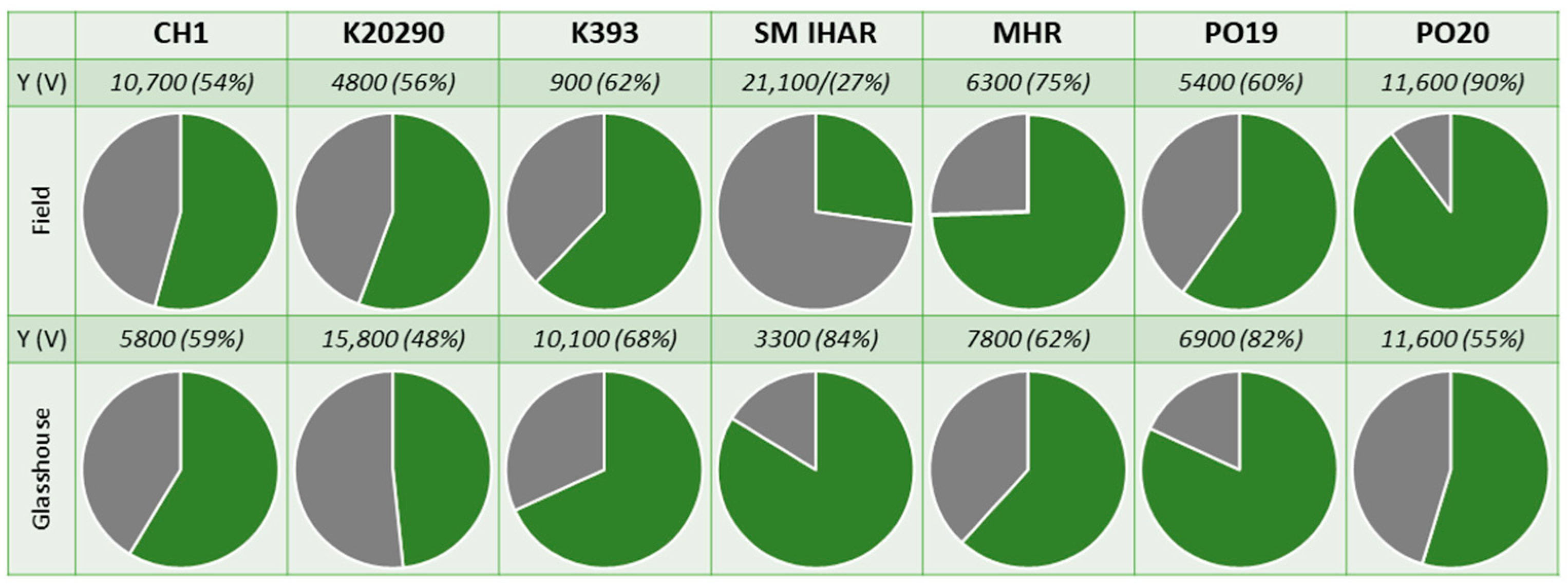 Plants 13 00363 g003