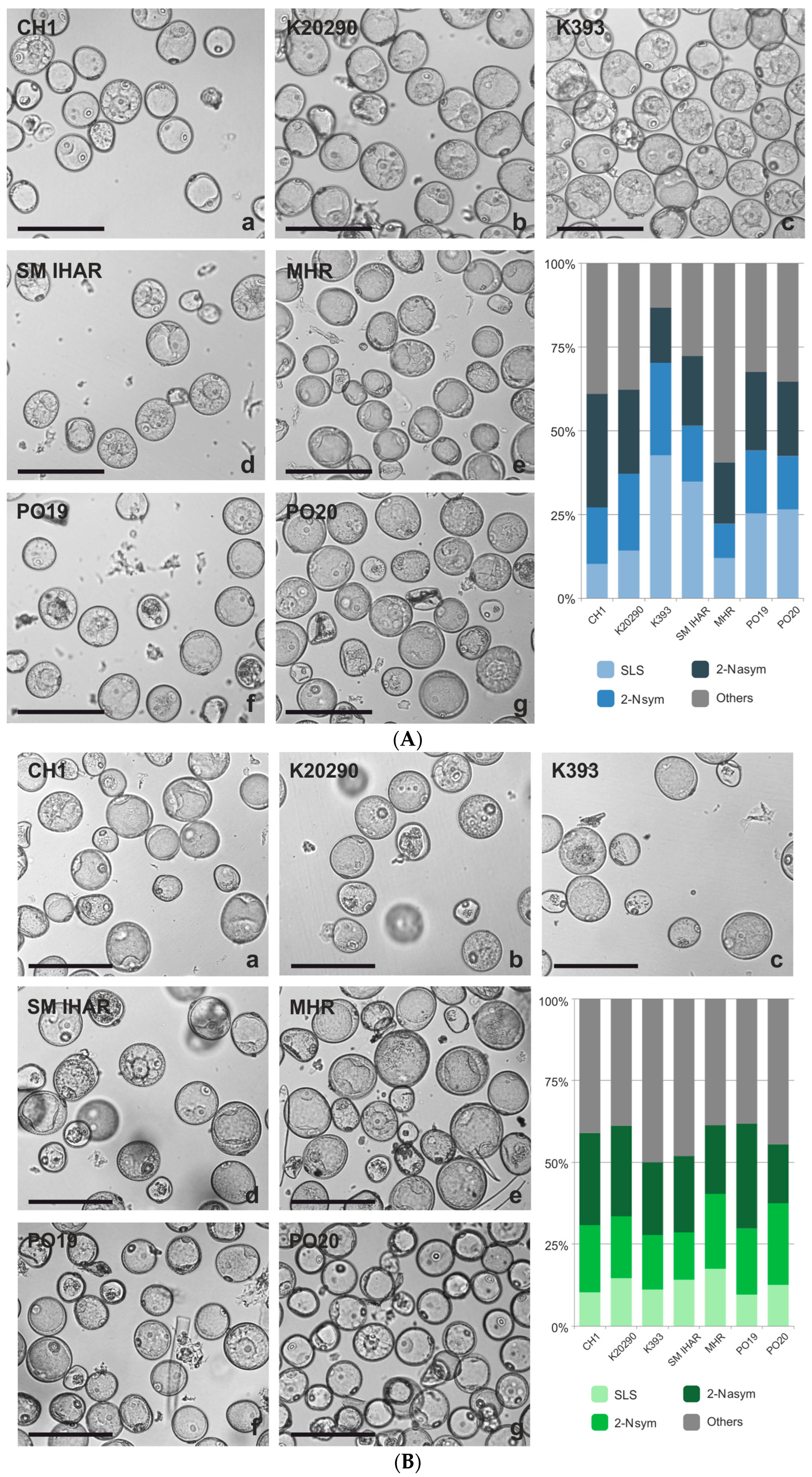 Plants 13 00363 g004