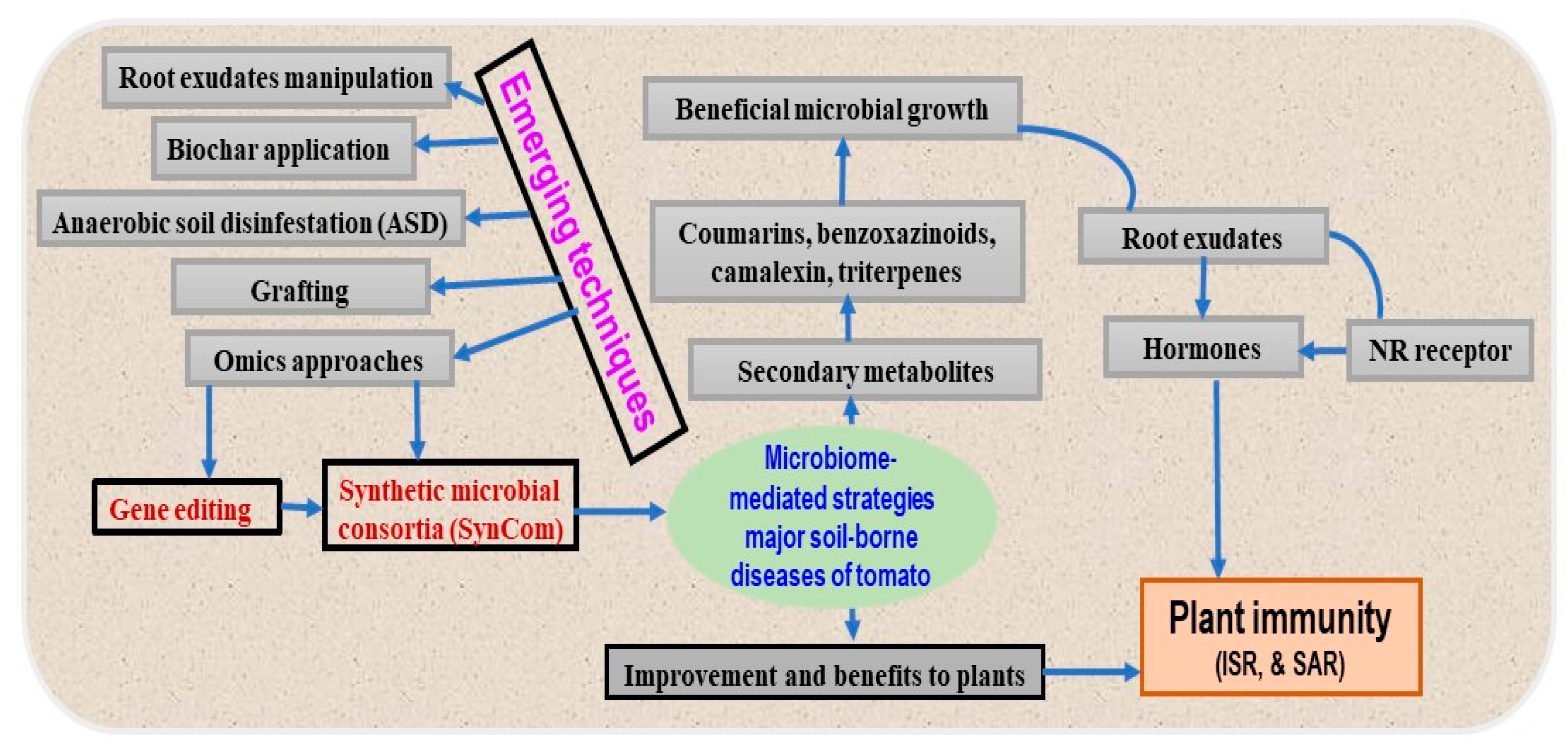 Plants 13 00364 g003 Plants 13 00364 g003