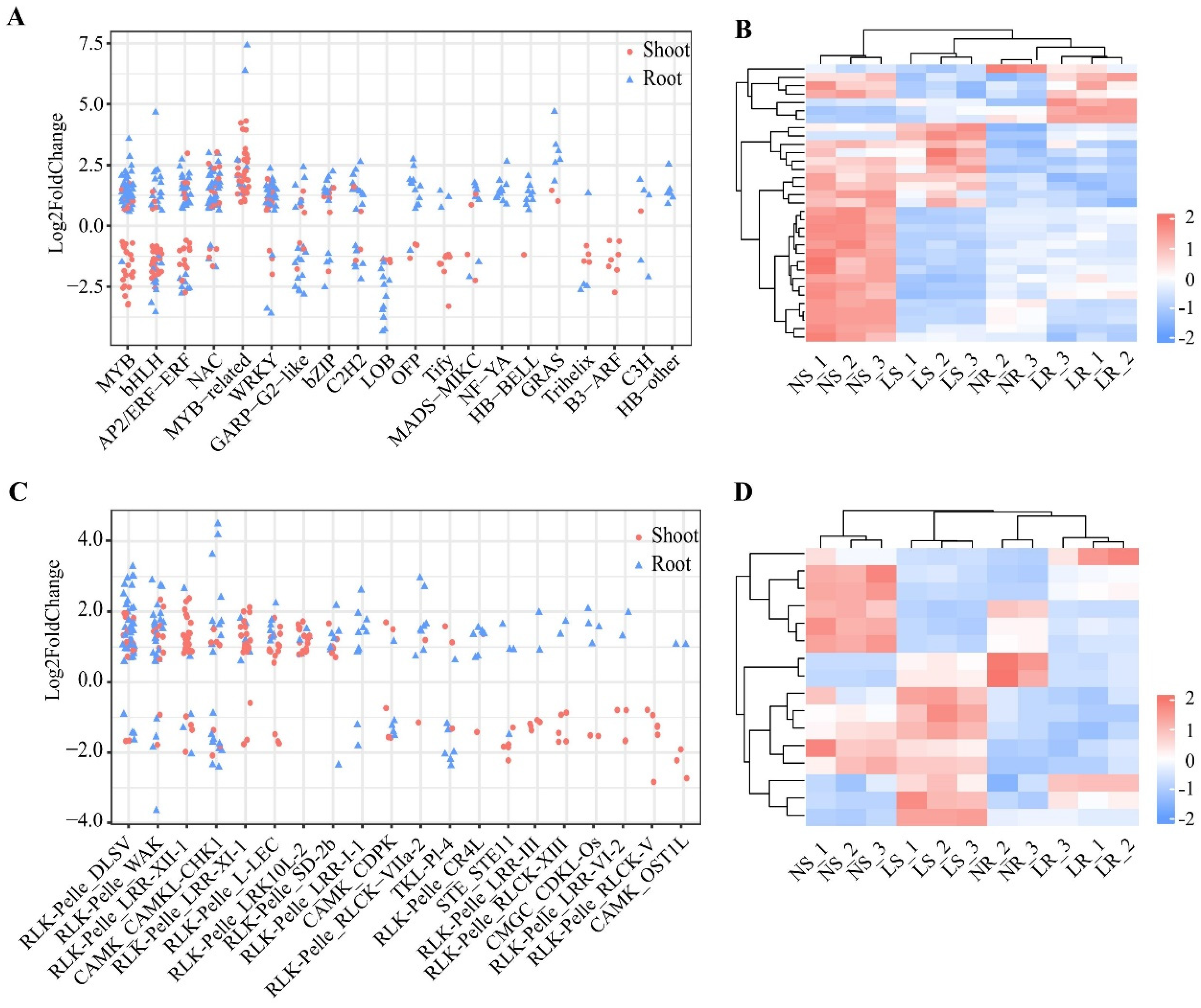 Plants 13 00371 g005