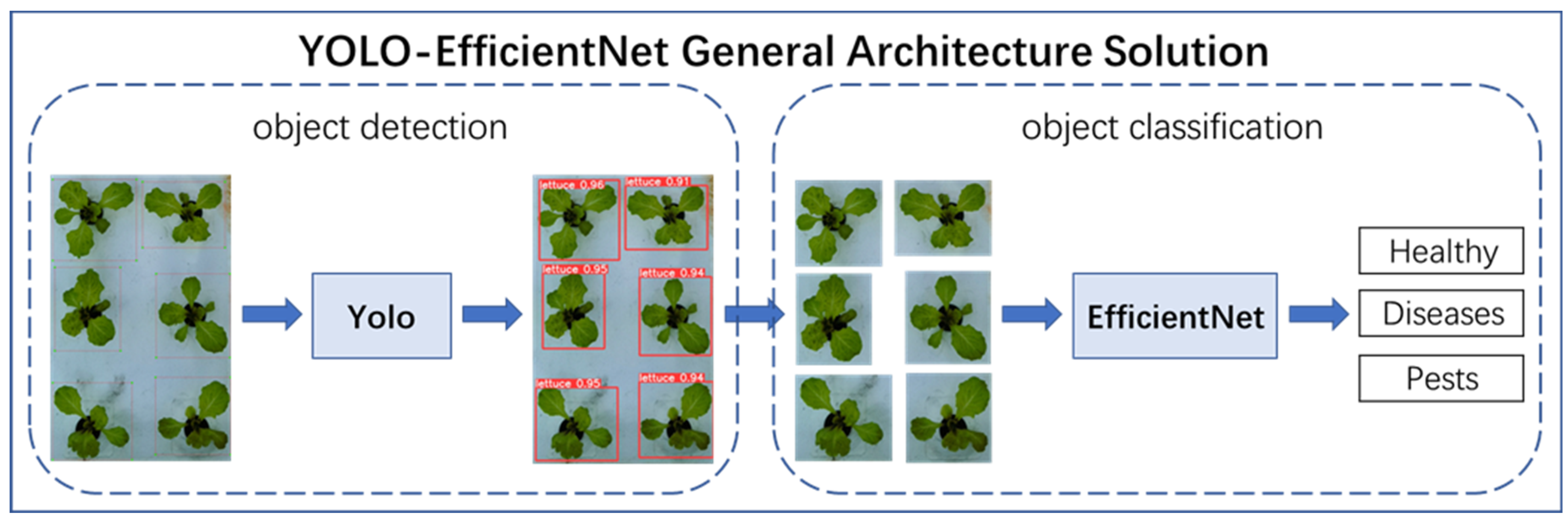 Plants 13 00372 g005