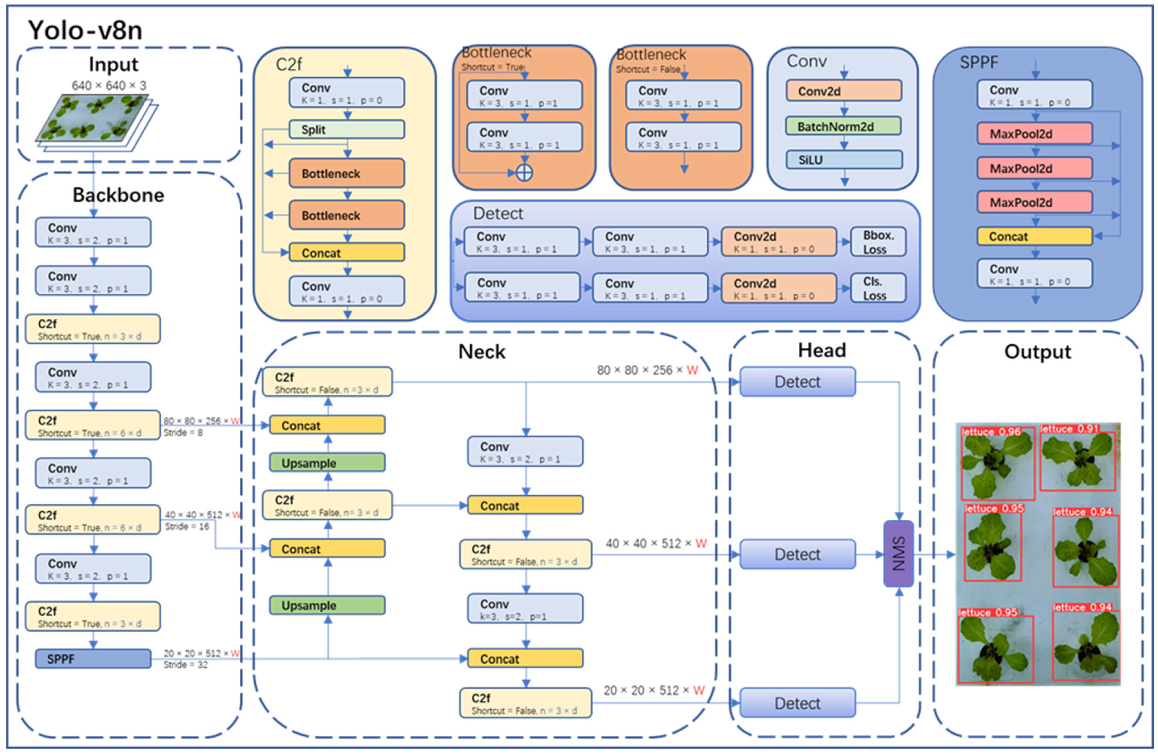 Plants 13 00372 g006