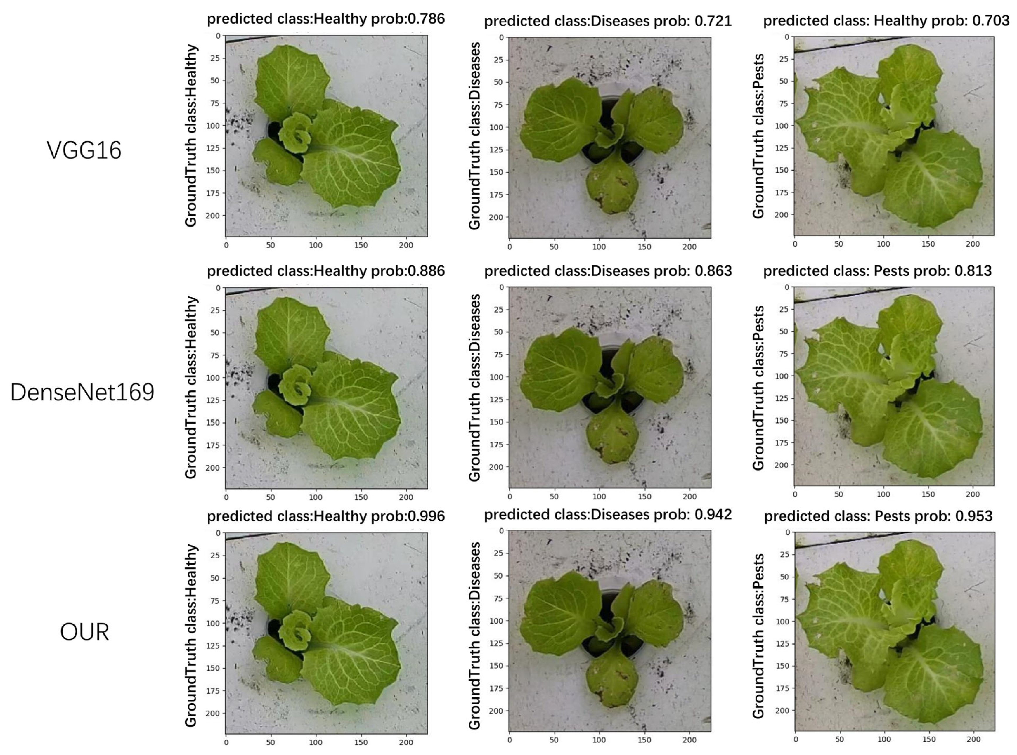 Plants 13 00372 g011