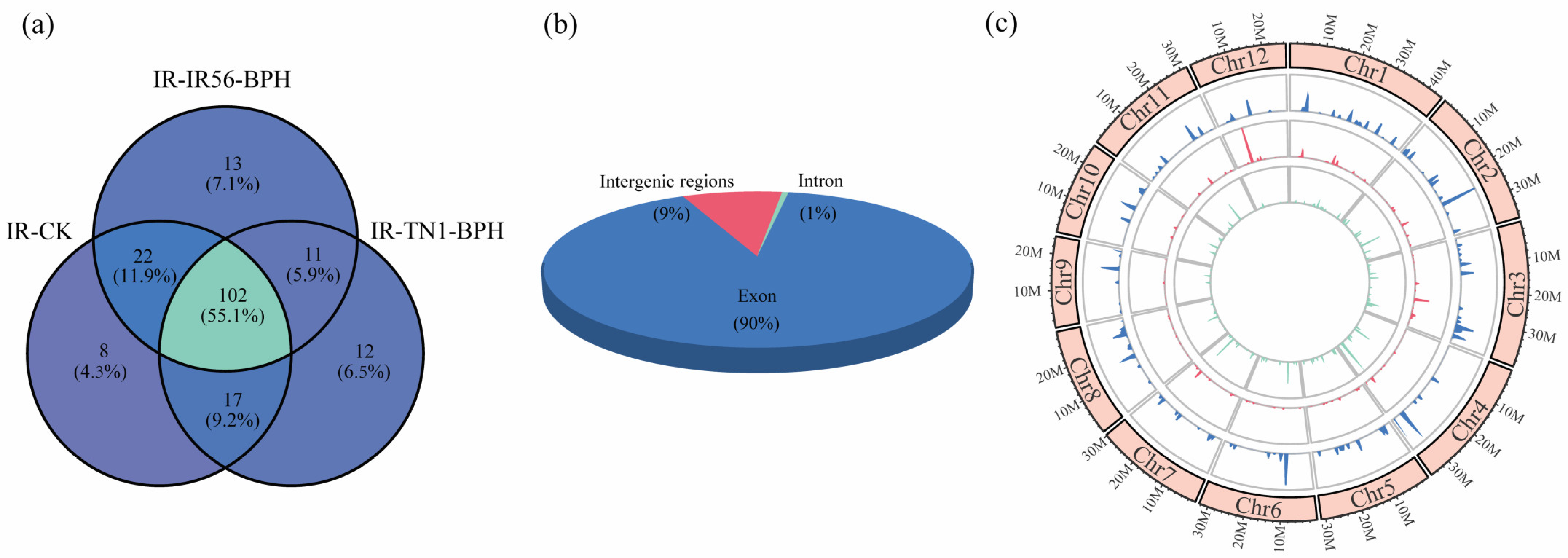 Plants 13 00373 g001