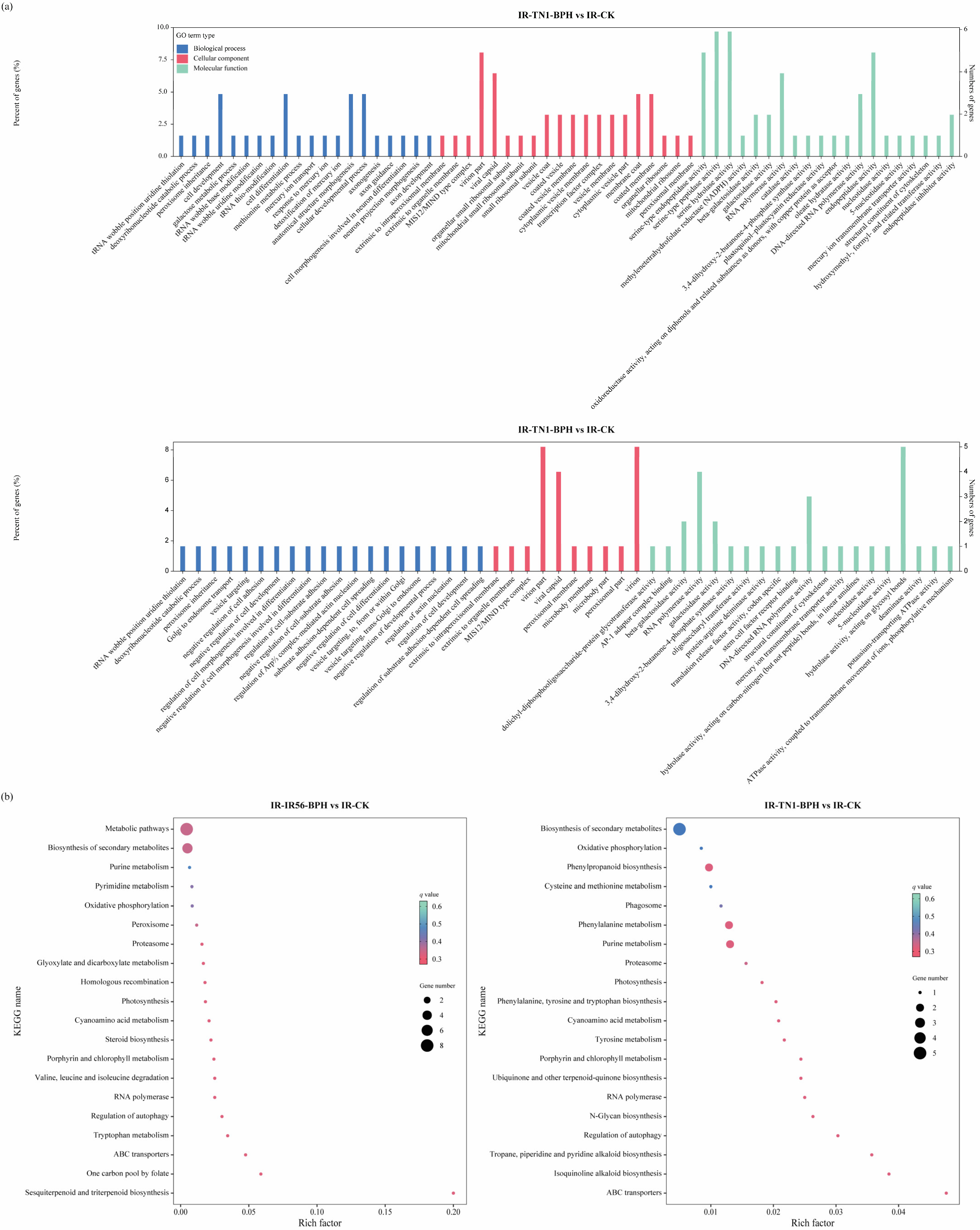 Plants 13 00373 g003
