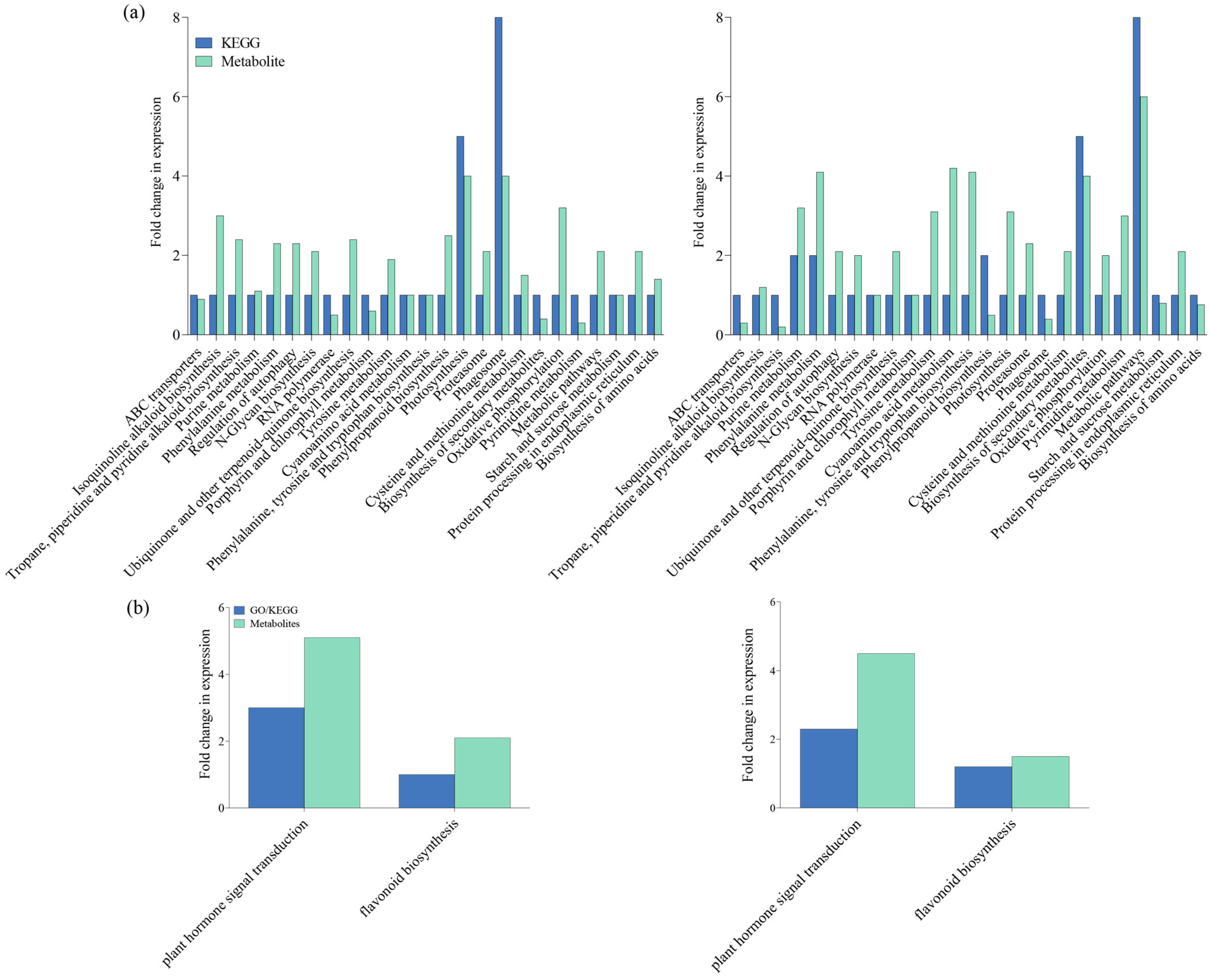 Plants 13 00373 g004