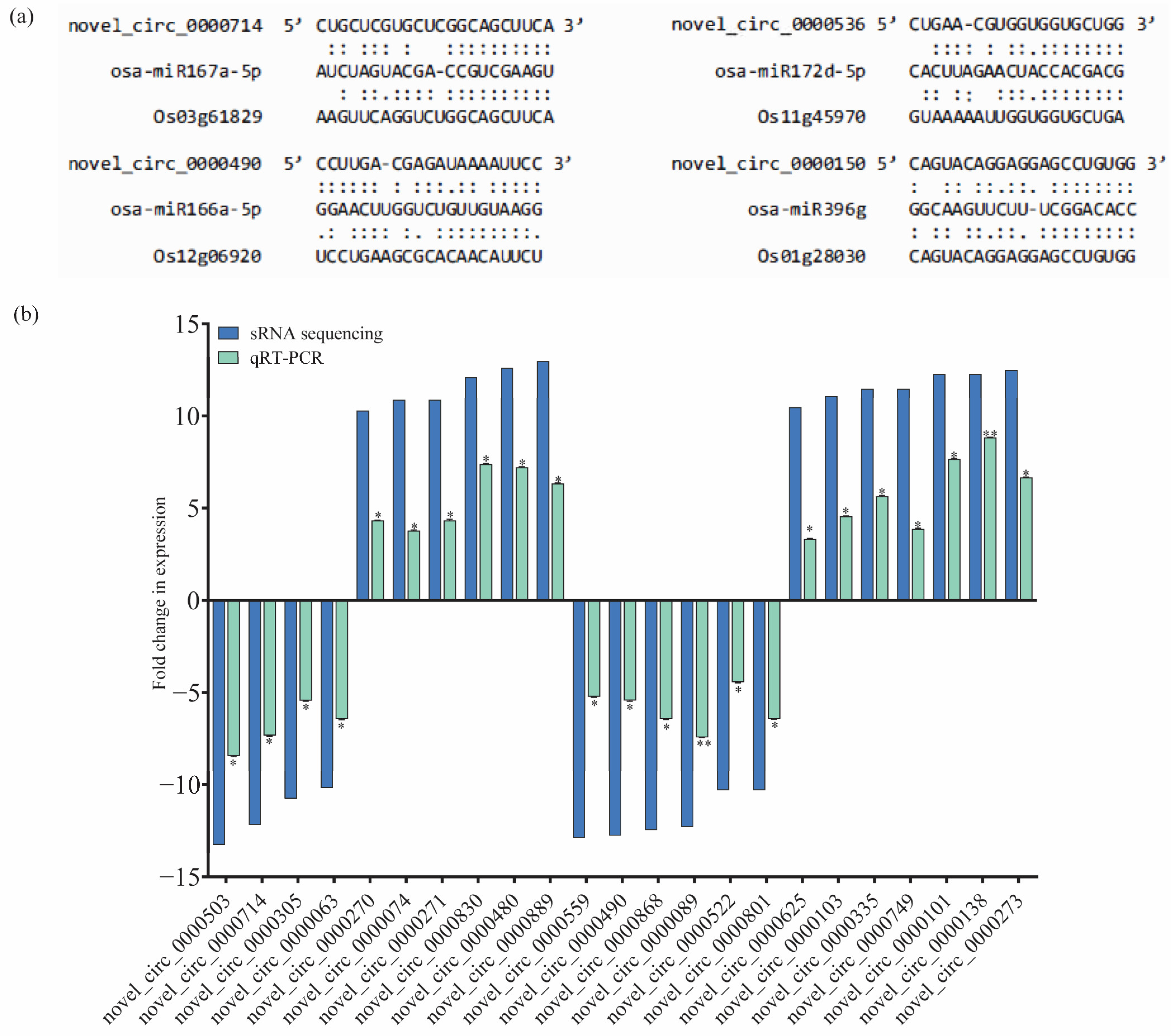 Plants 13 00373 g005