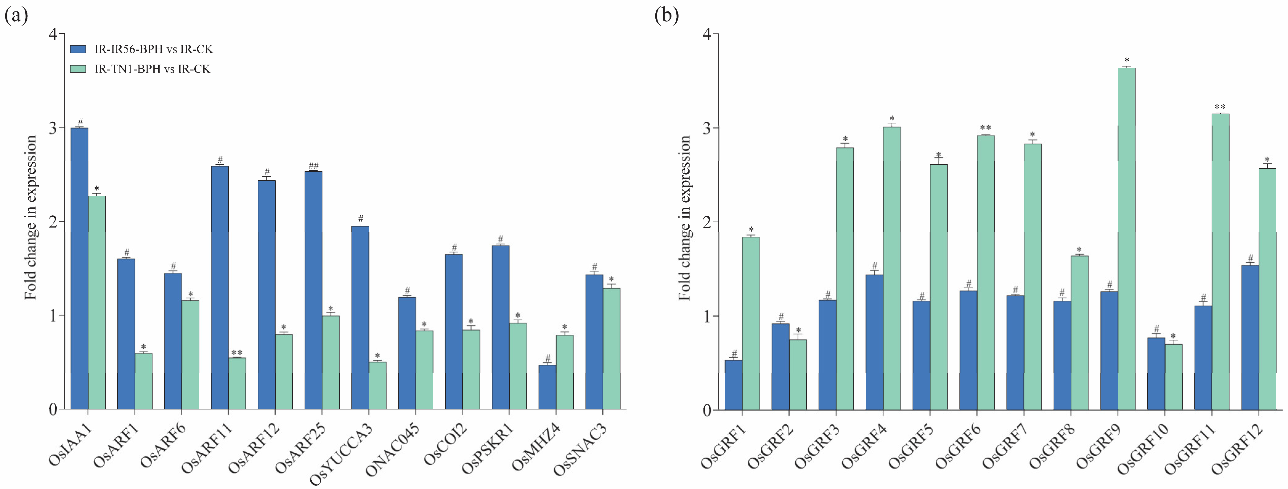 Plants 13 00373 g007