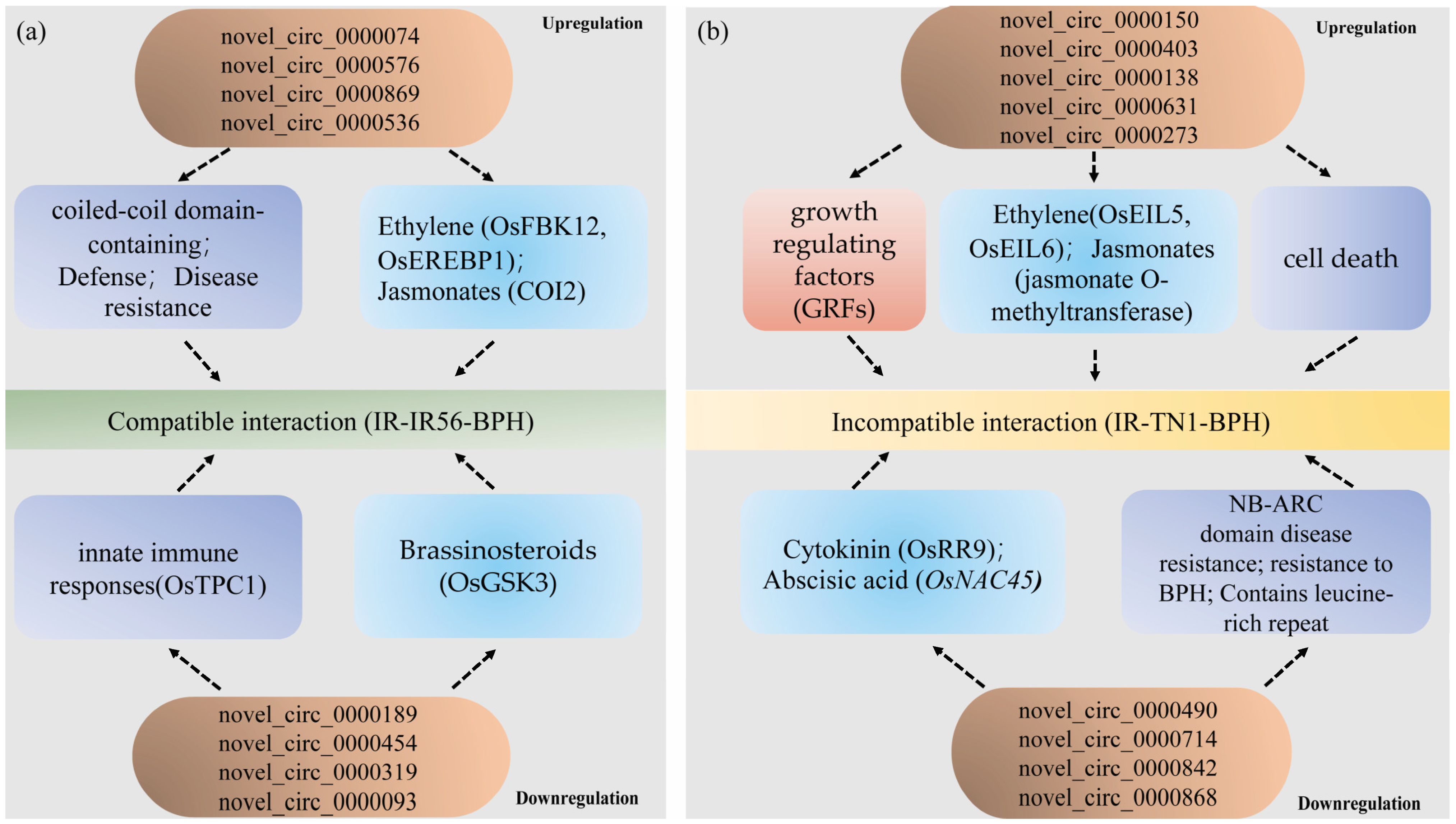 Plants 13 00373 g008