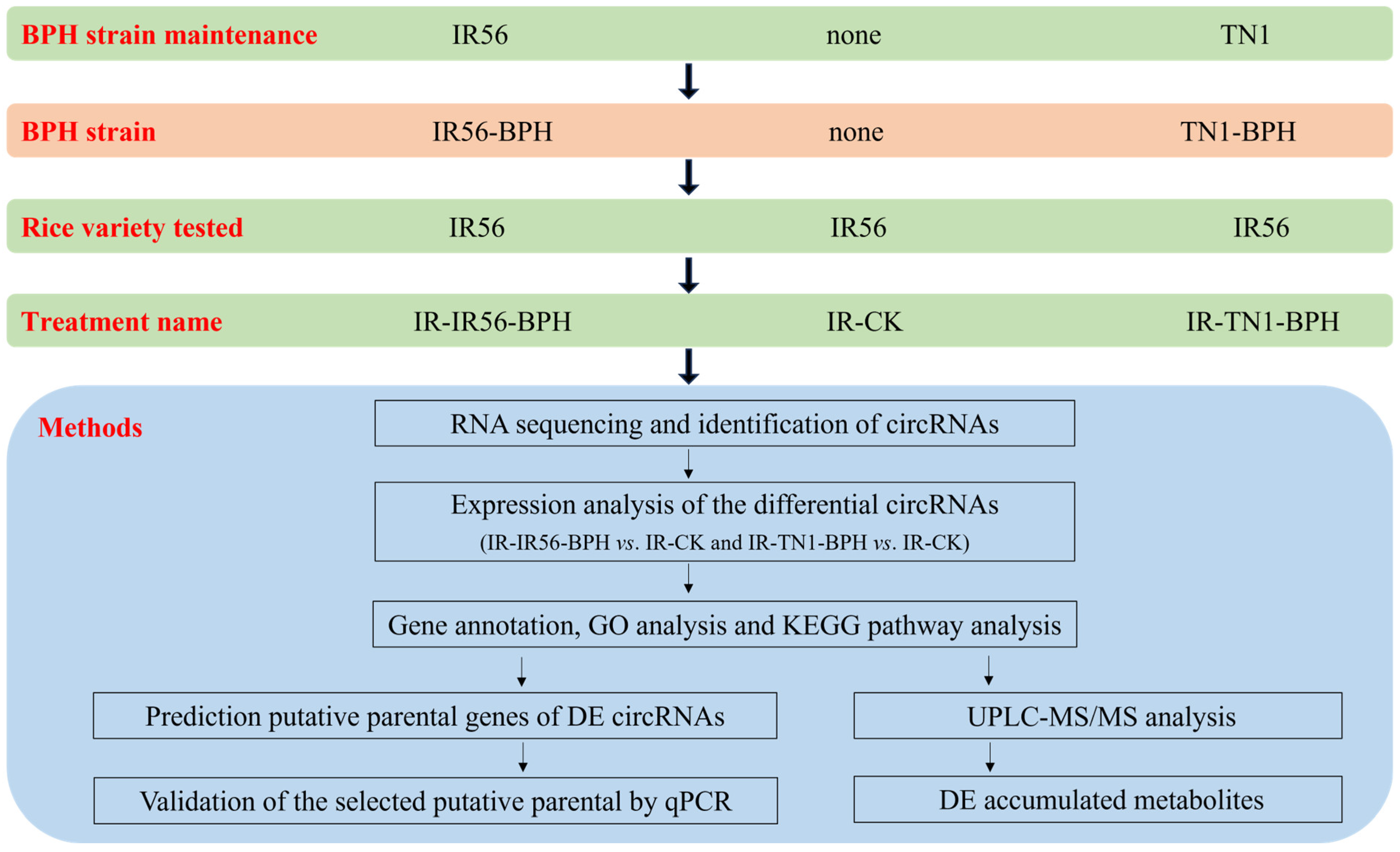 Plants 13 00373 g009