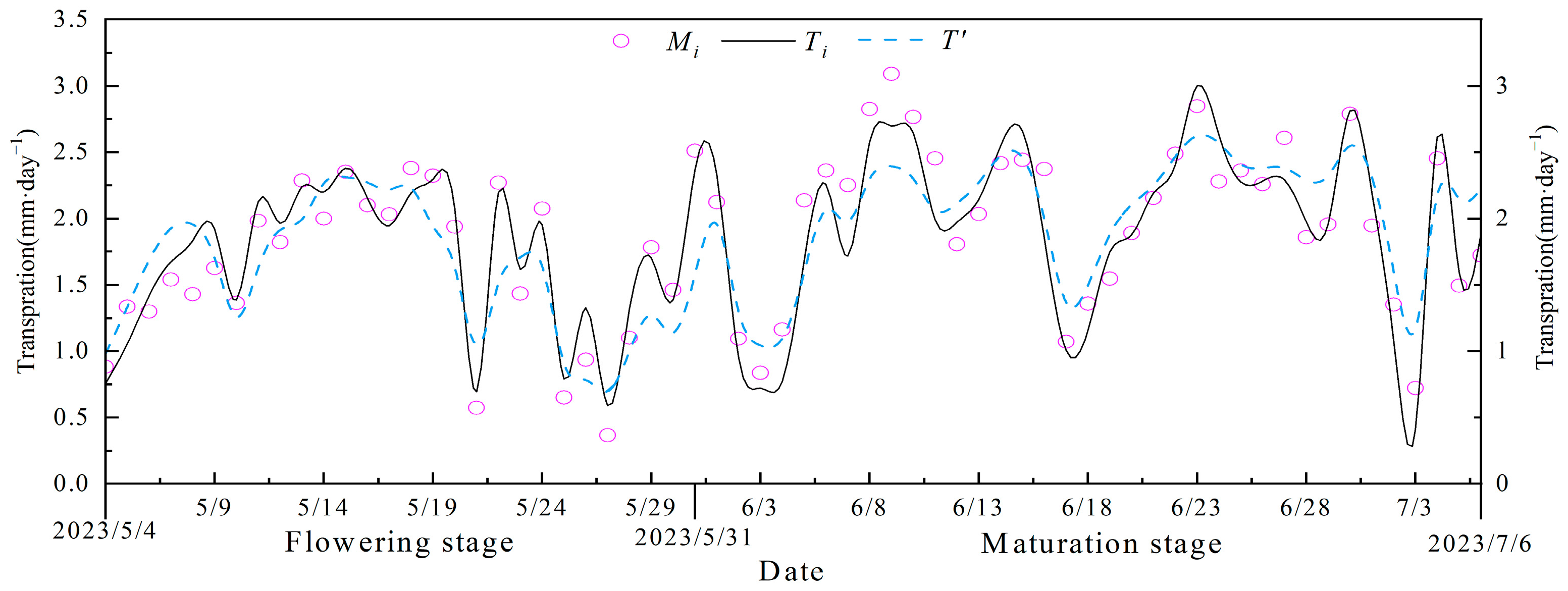 Plants 13 00374 g003