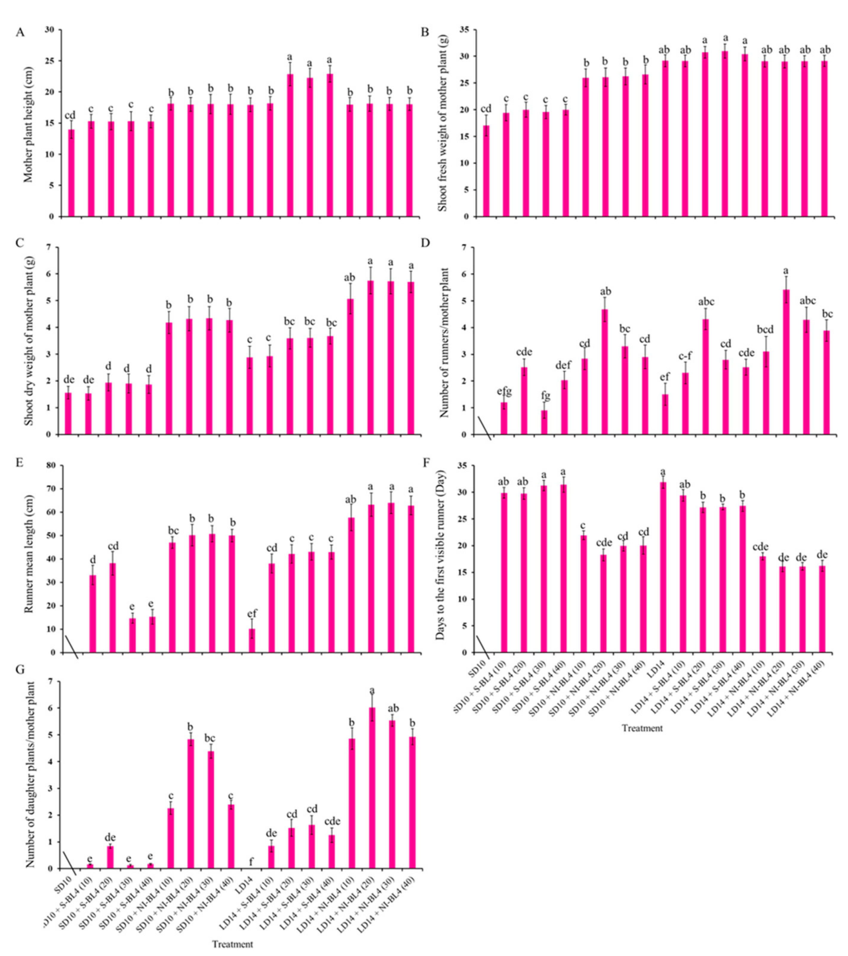 Plants 13 00375 g002