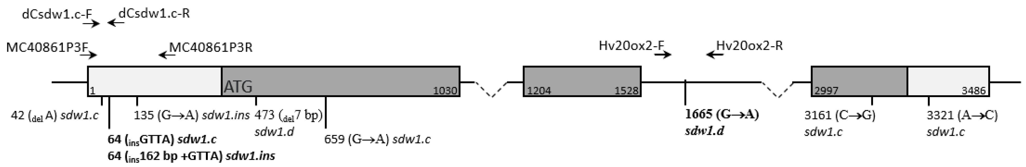Plants 13 00376 g001