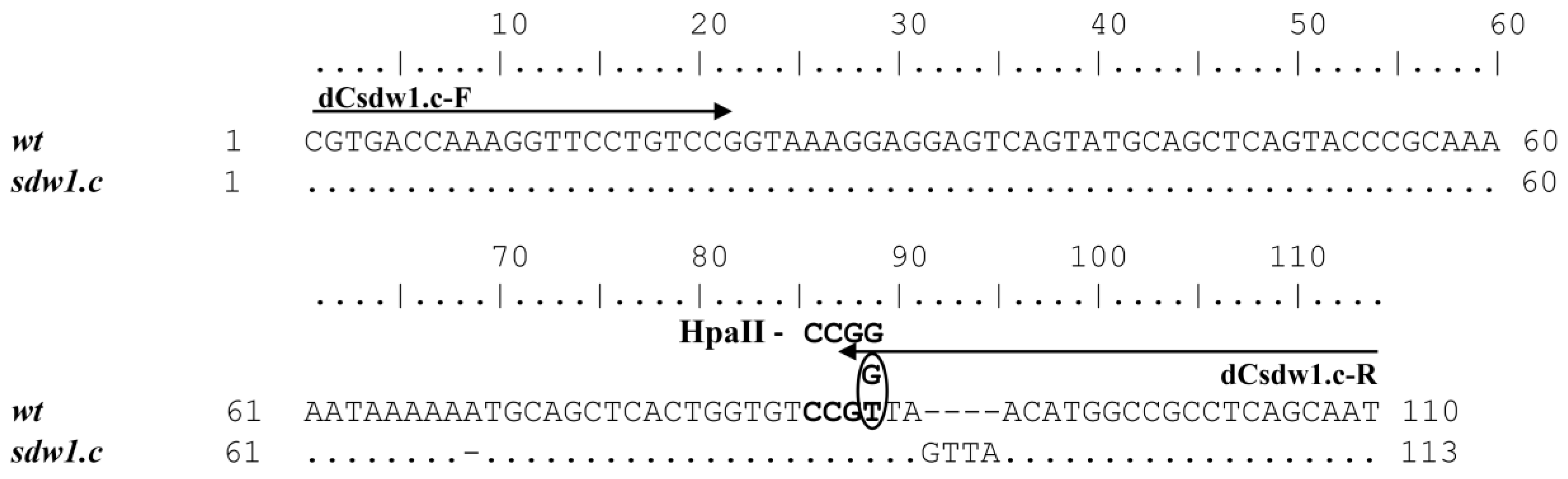 Plants 13 00376 g002